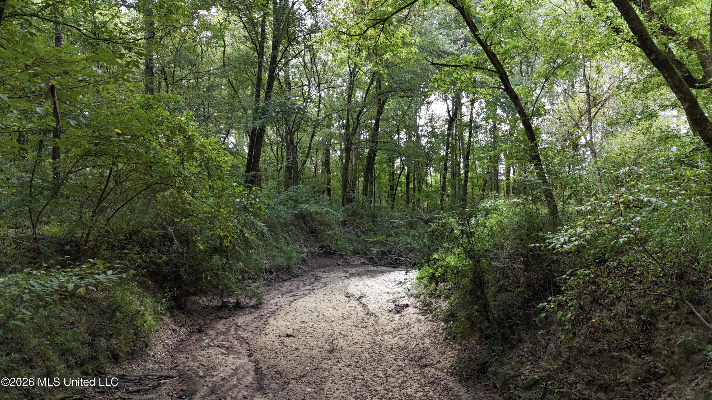 Johns Shiloh Road Property Photo 34