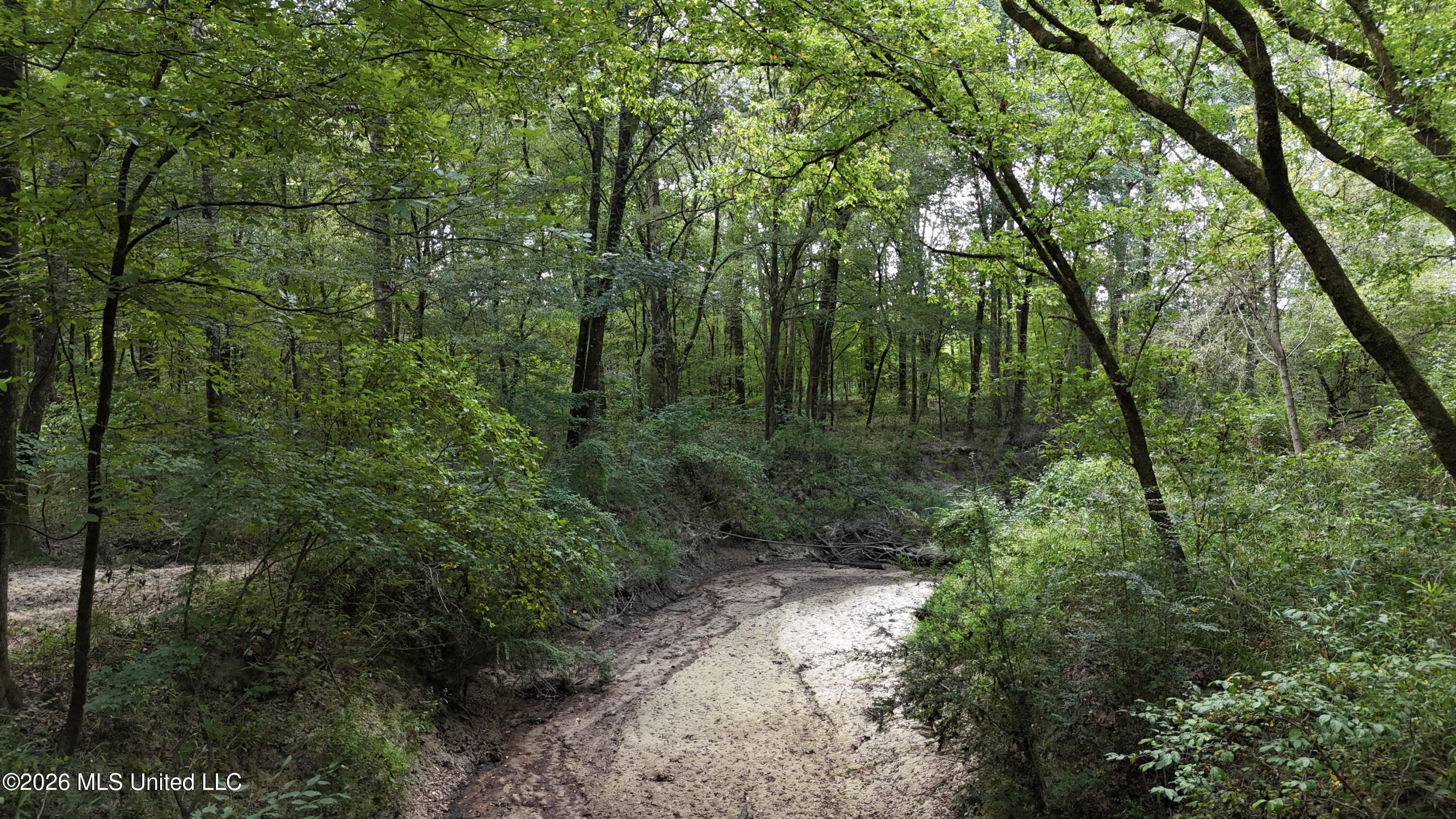 Johns Shiloh Road Property Photo 35