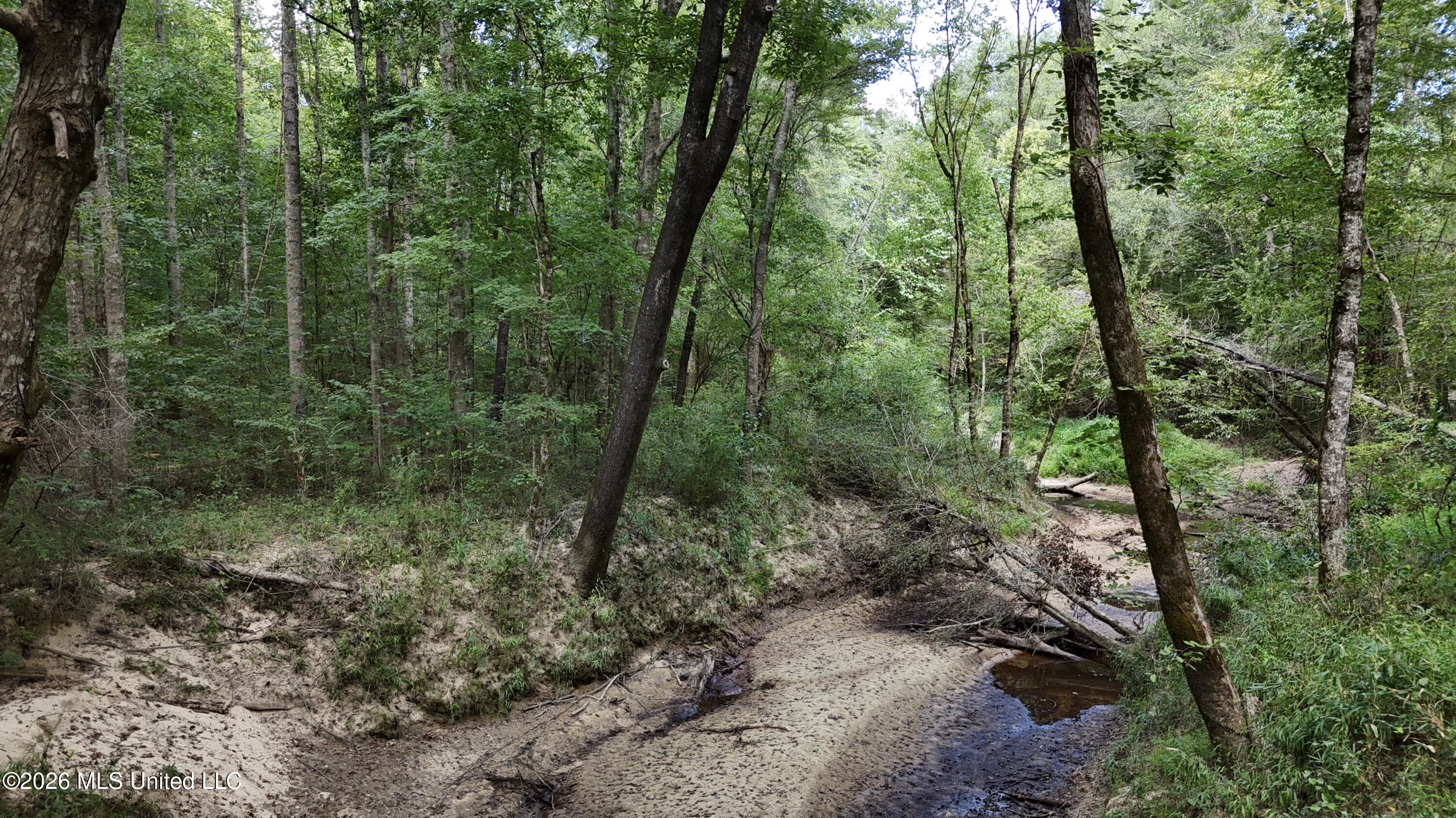 Johns Shiloh Road Property Photo 36