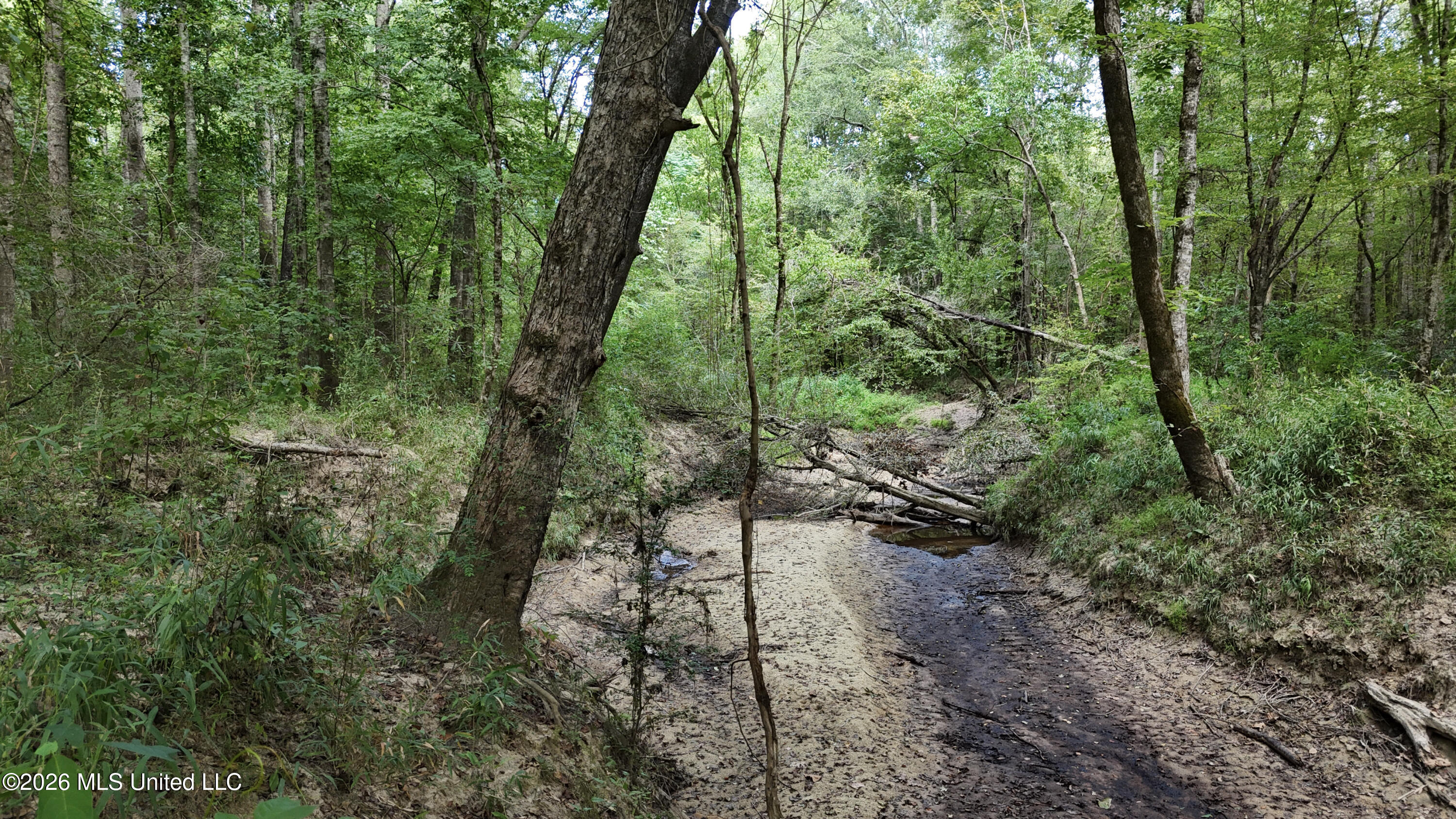 Johns Shiloh Road Property Photo 37