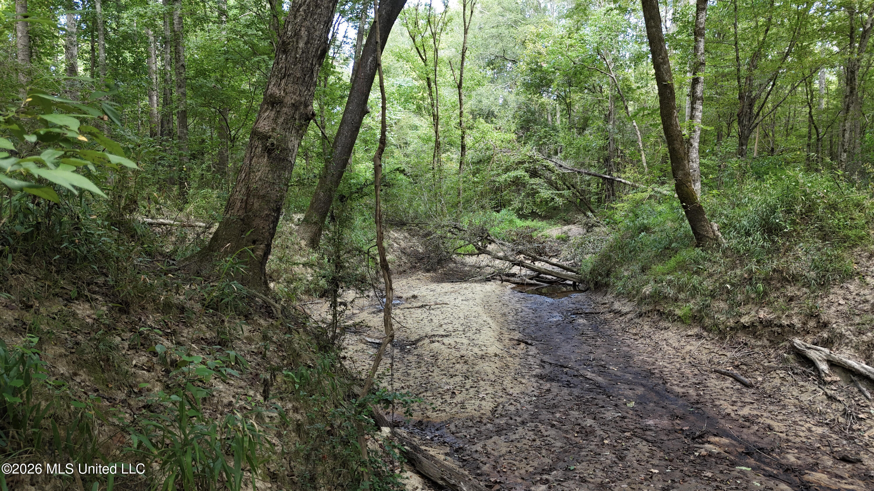 Johns Shiloh Road Property Photo 38