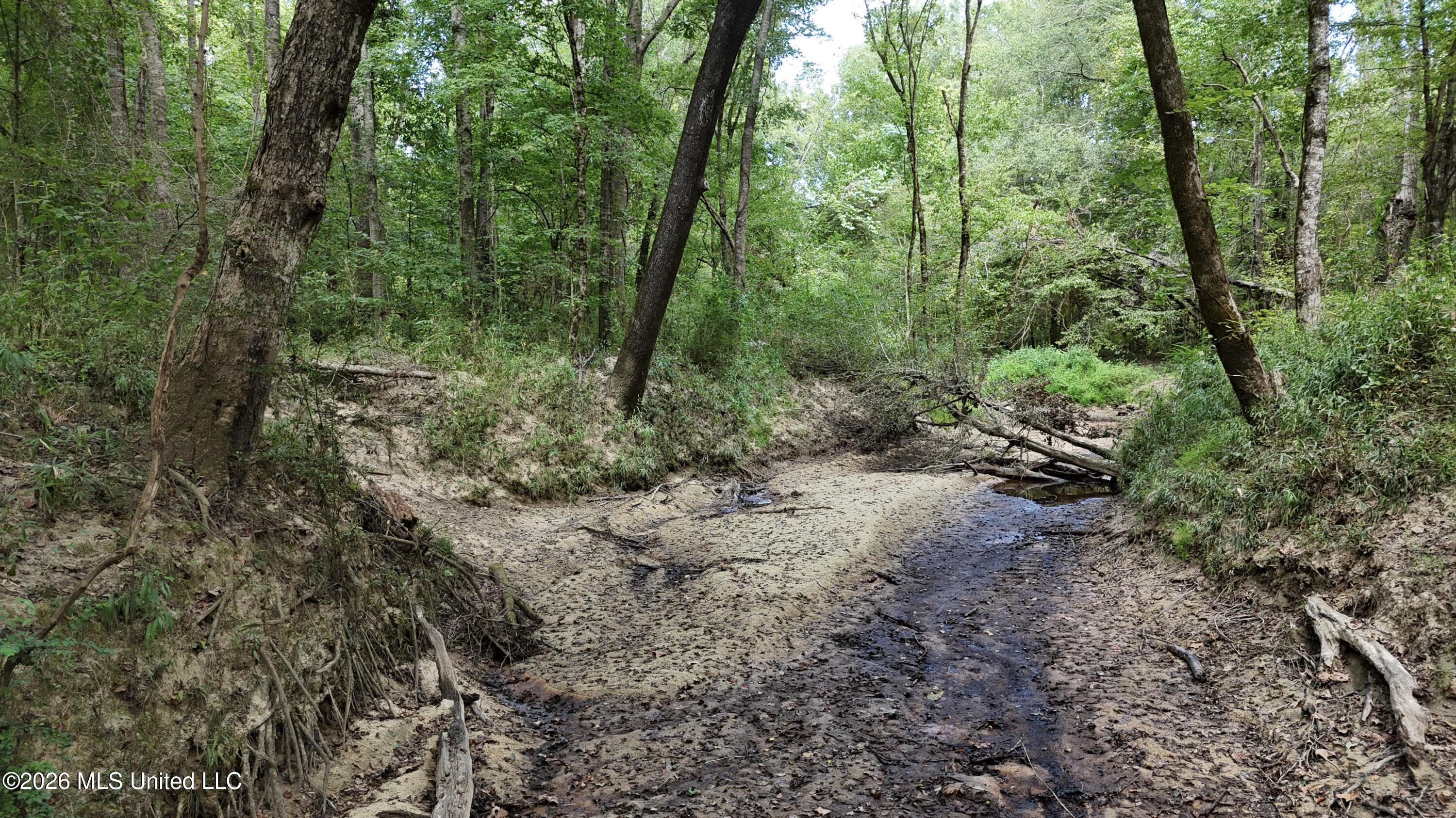 Johns Shiloh Road Property Photo 39
