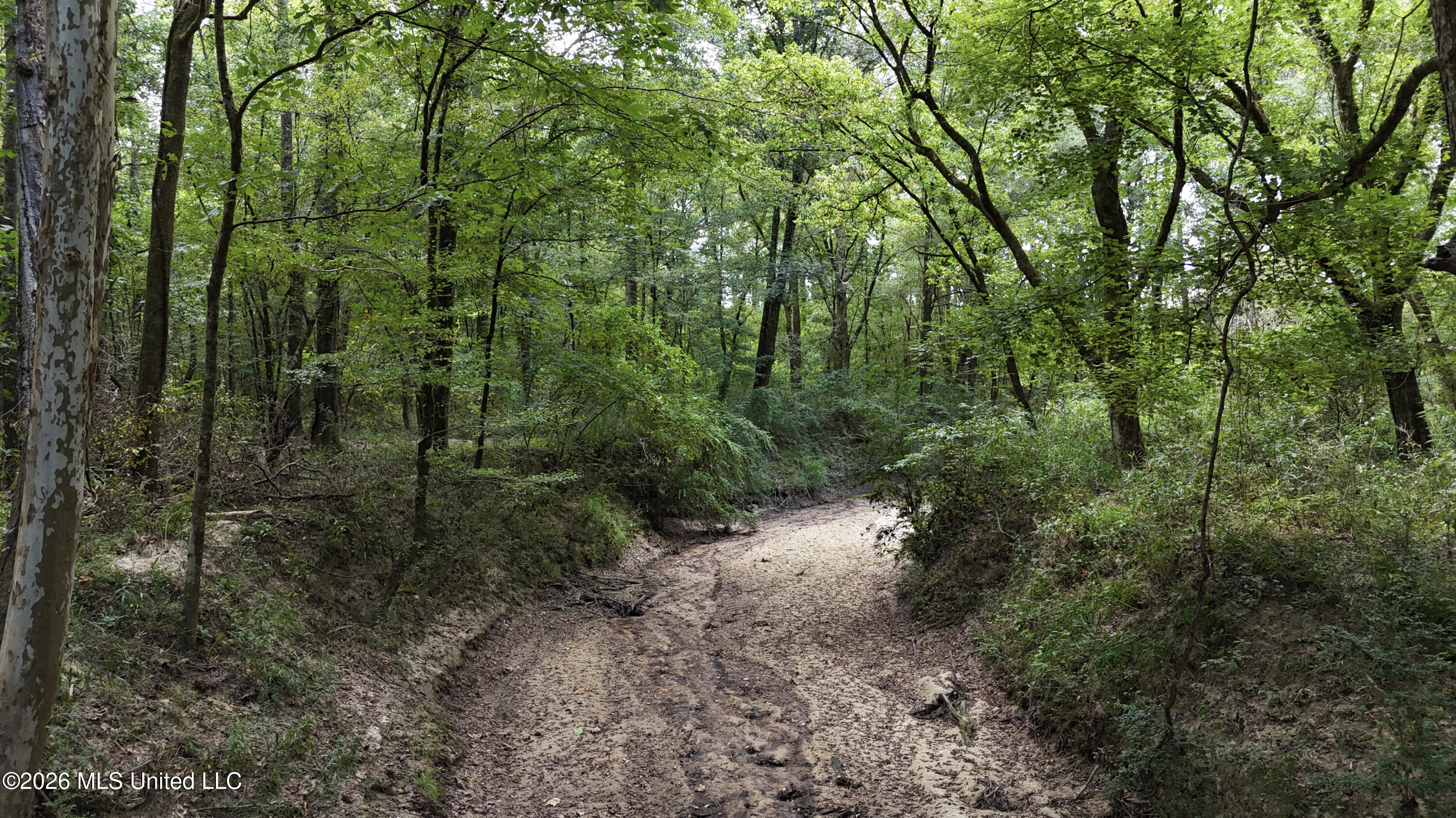 Johns Shiloh Road Property Photo 40