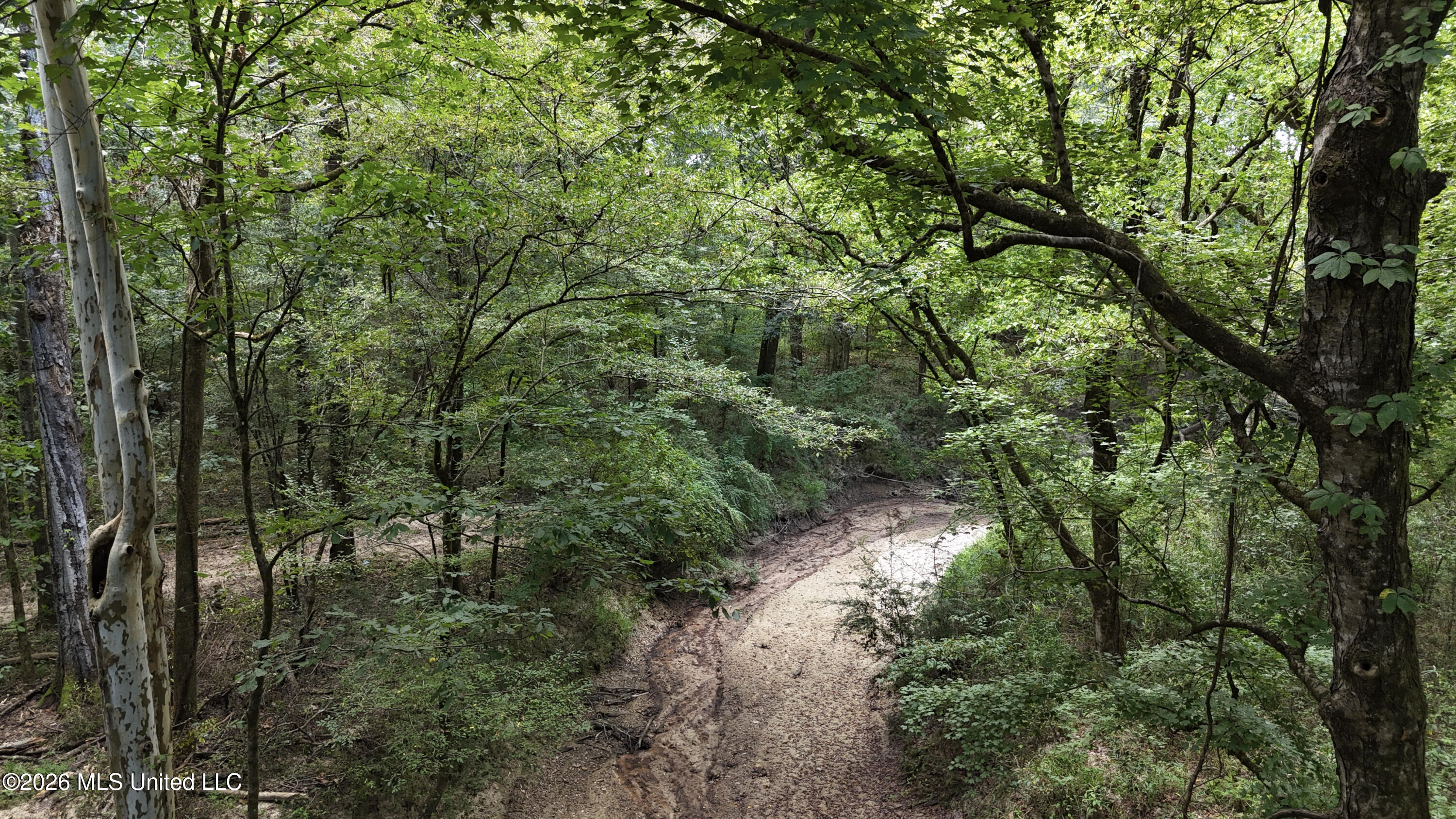 Johns Shiloh Road Property Photo 41