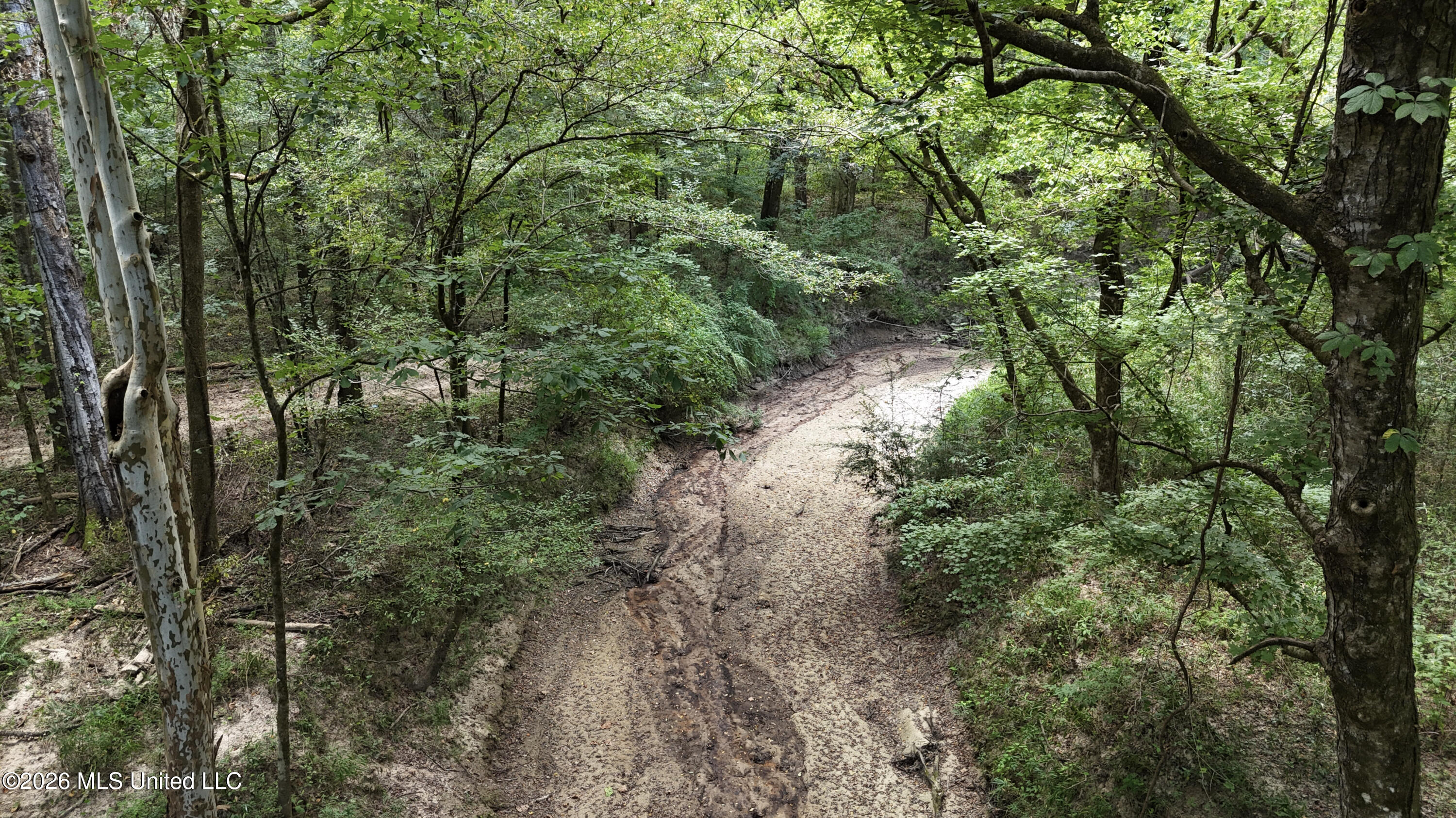 Johns Shiloh Road Property Photo 42
