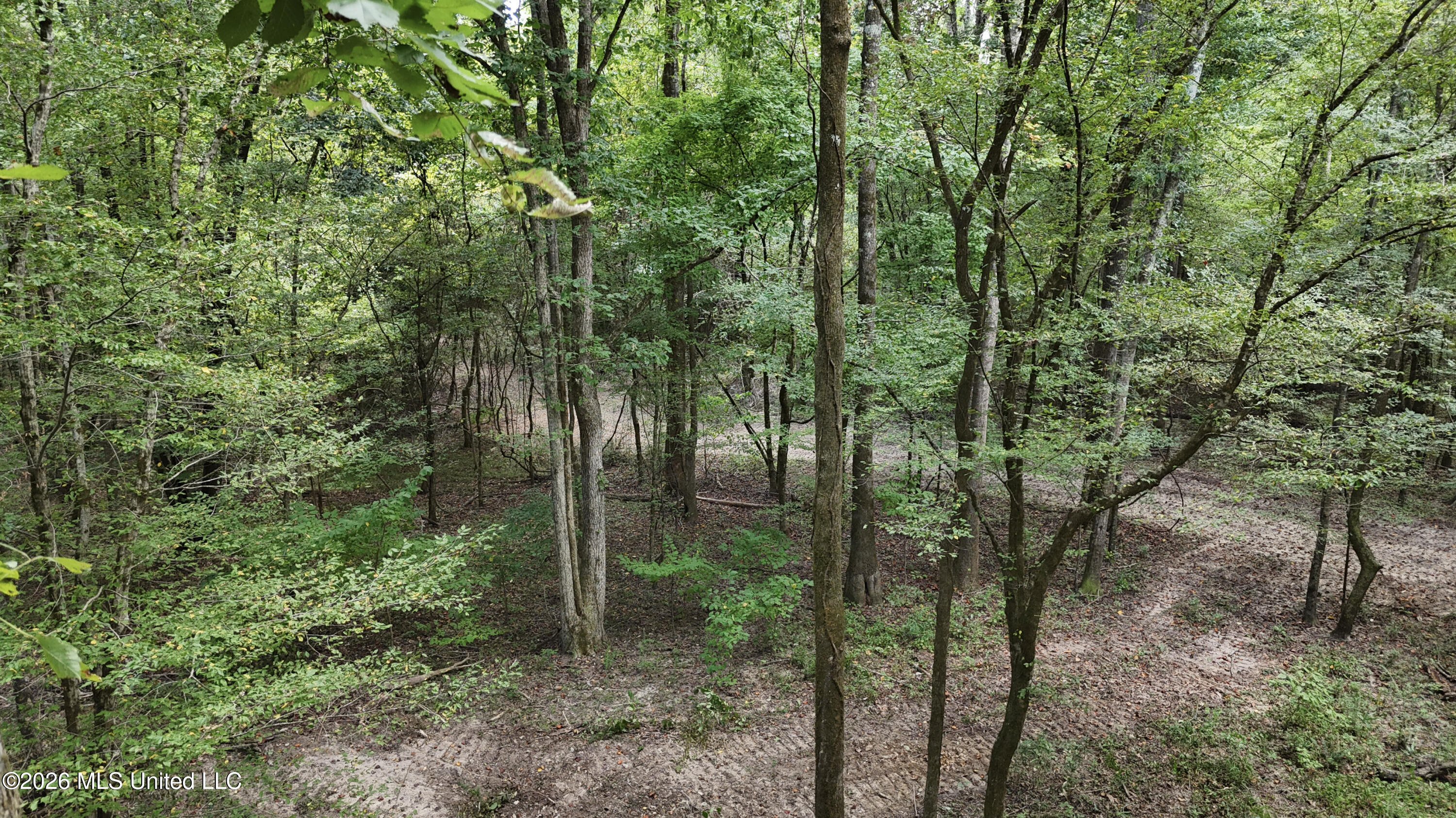 Johns Shiloh Road Property Photo 43