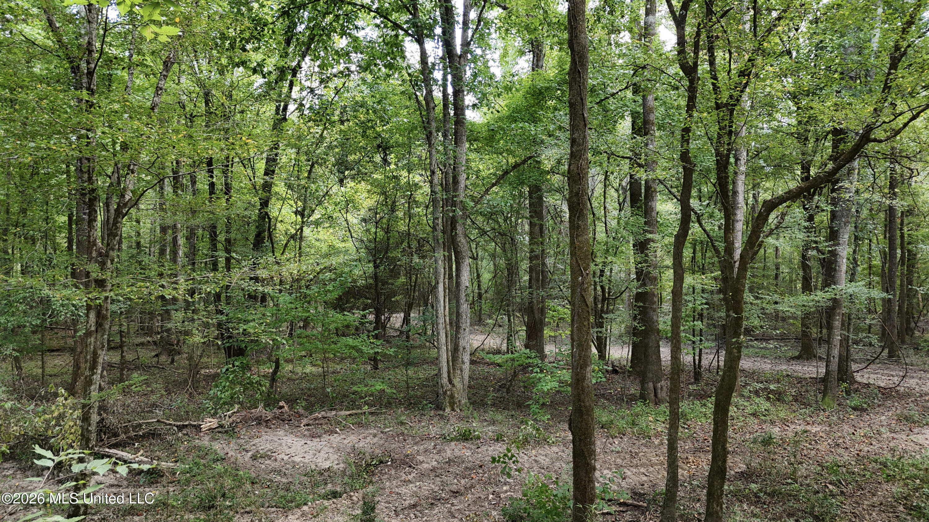 Johns Shiloh Road Property Photo 44