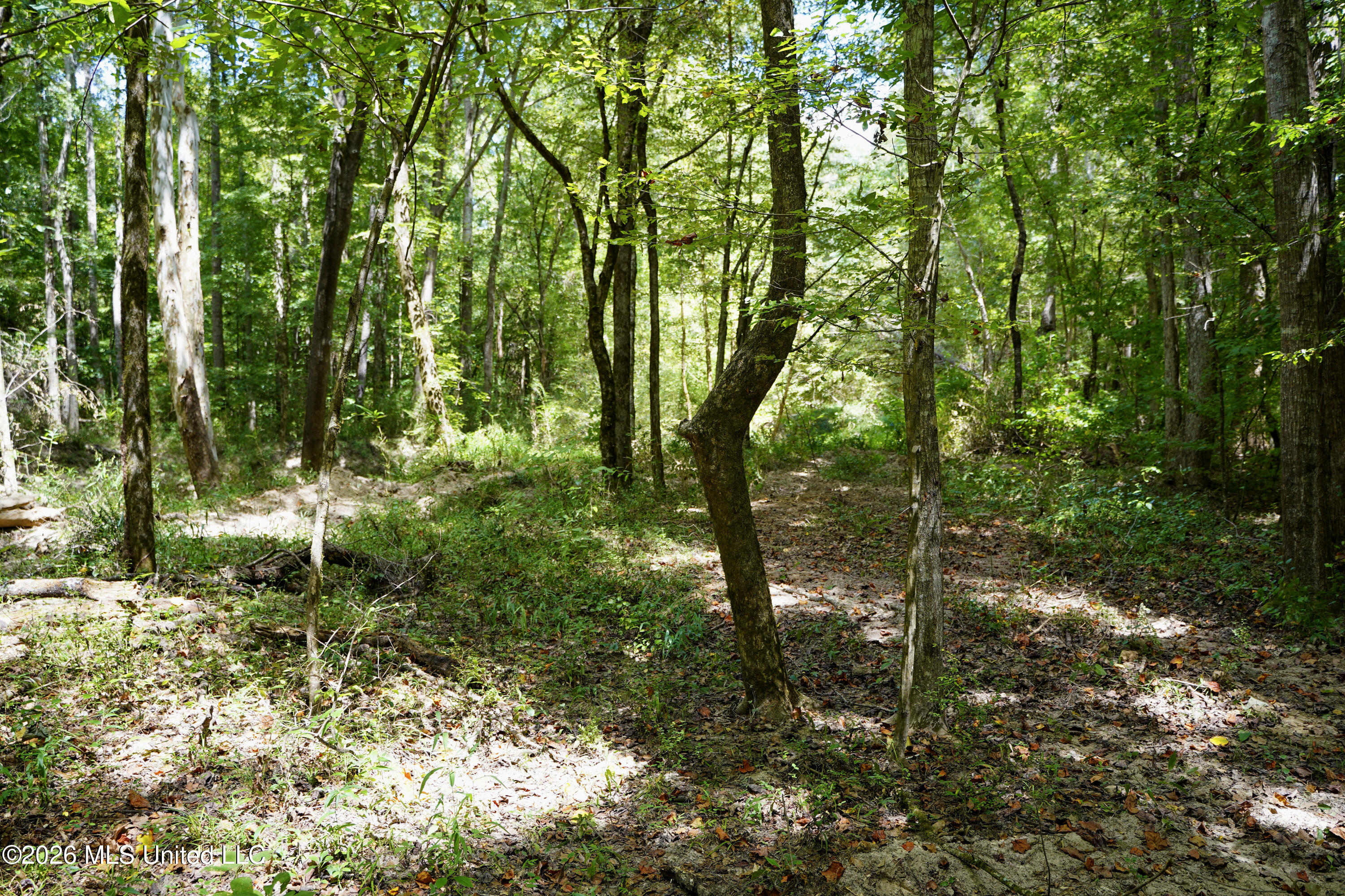Johns Shiloh Road Property Photo 45