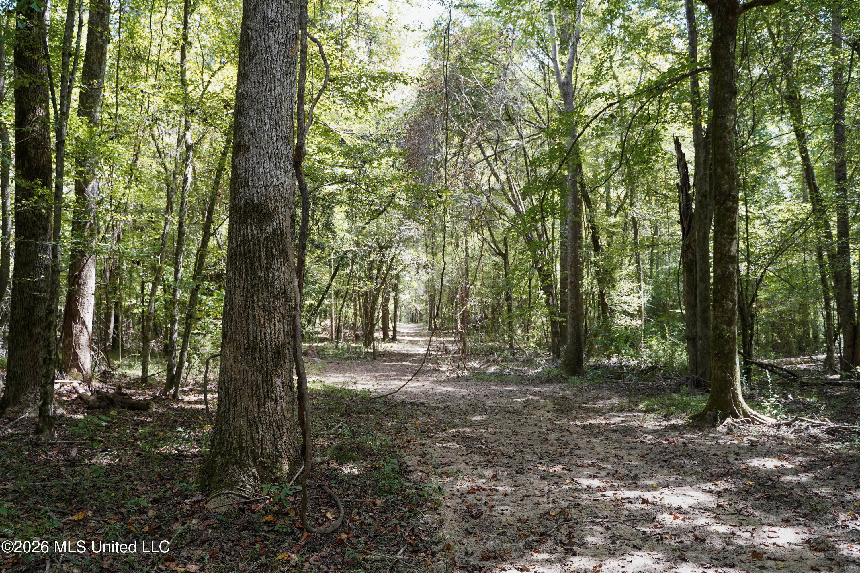 Johns Shiloh Road Property Photo 46