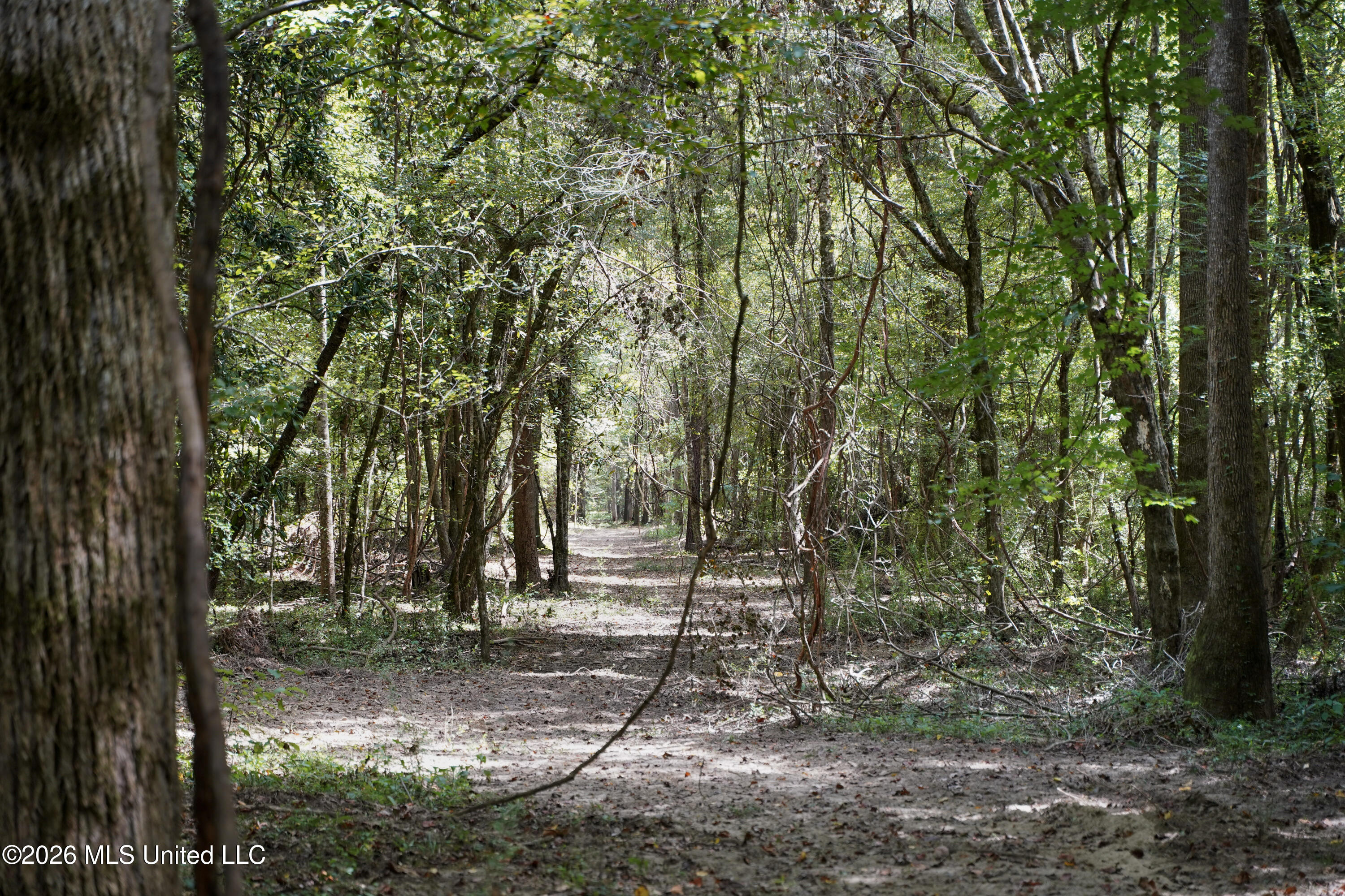 Johns Shiloh Road Property Photo 47
