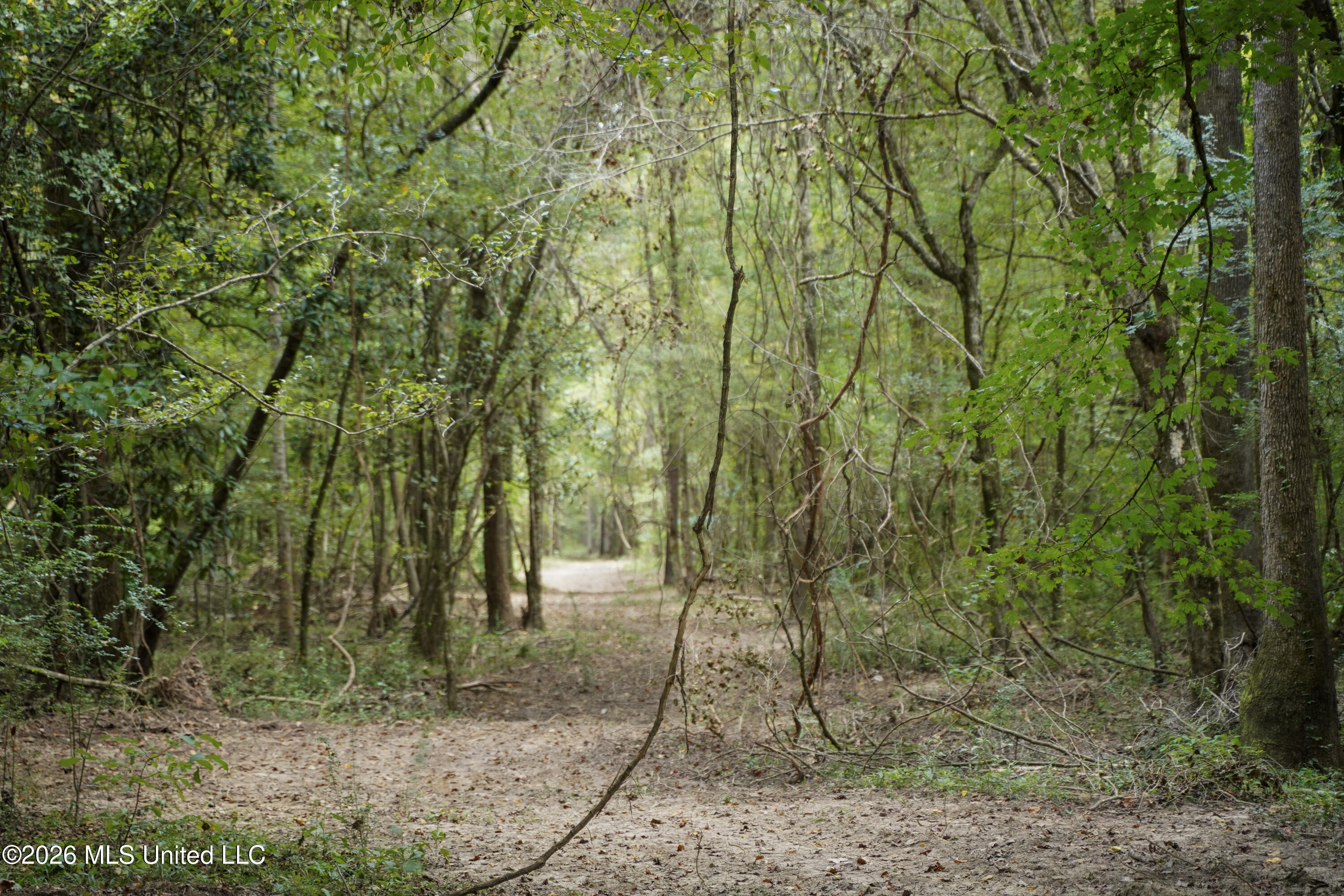 Johns Shiloh Road Property Photo 60