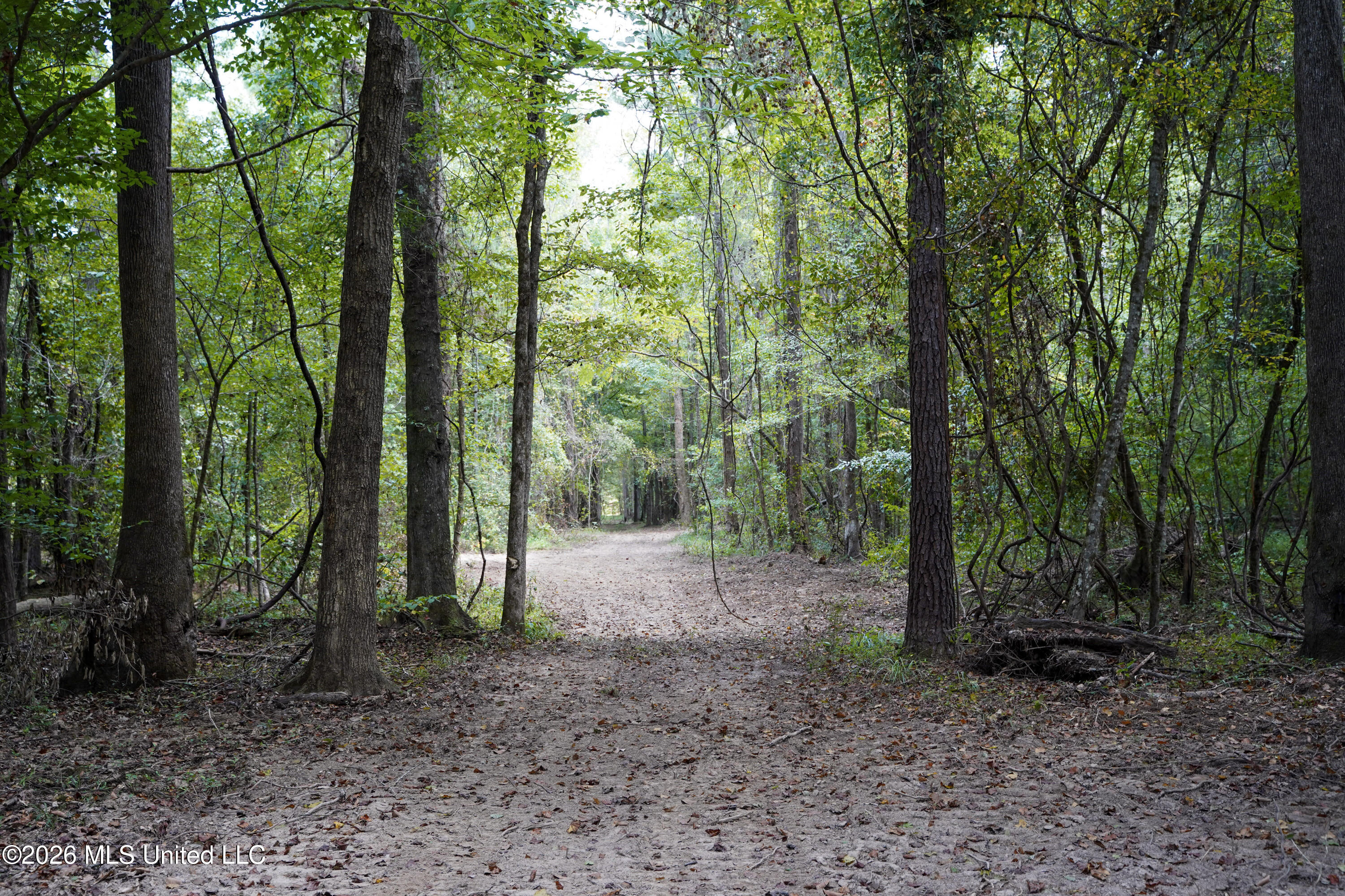 Johns Shiloh Road Property Photo 61