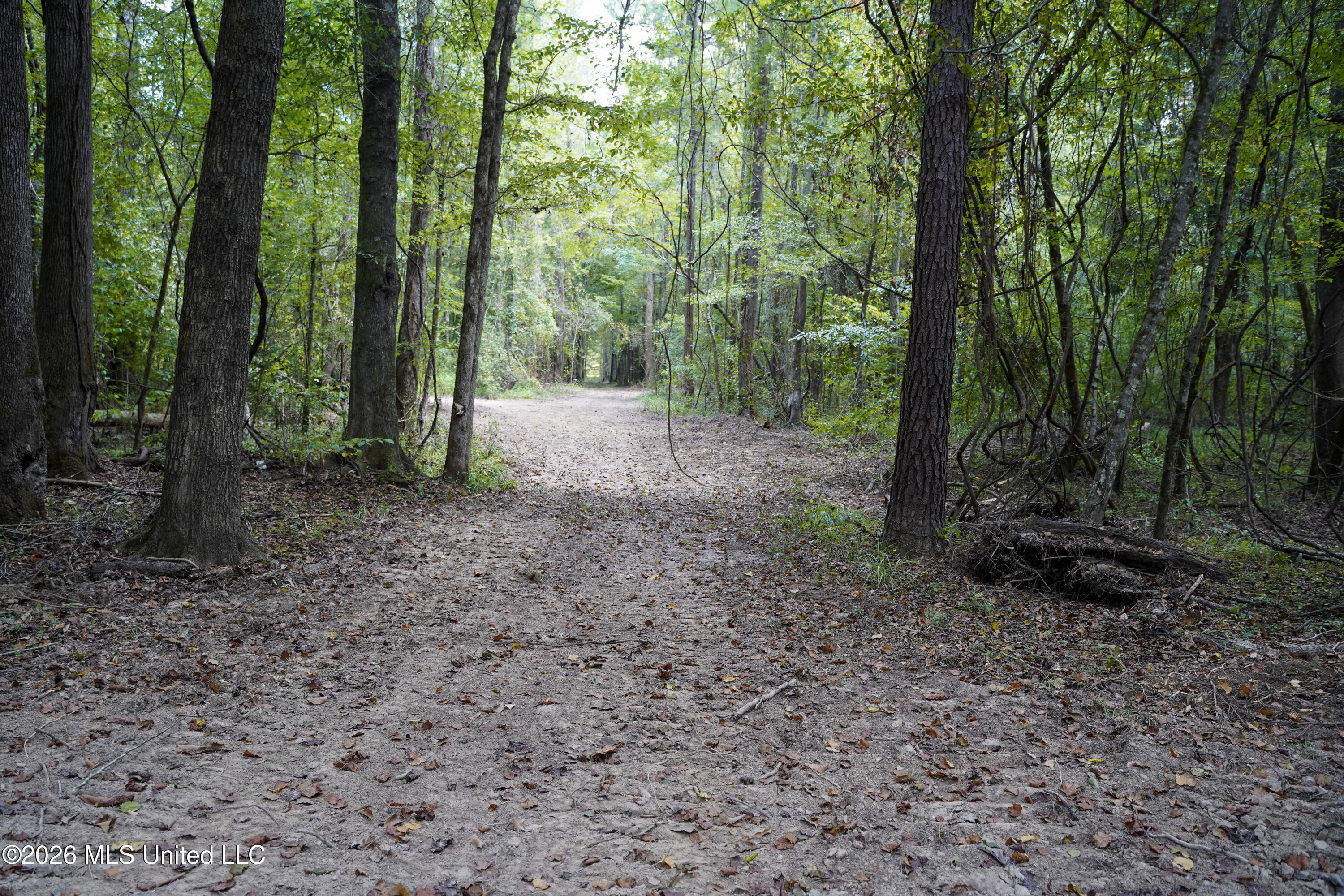 Johns Shiloh Road Property Photo 62