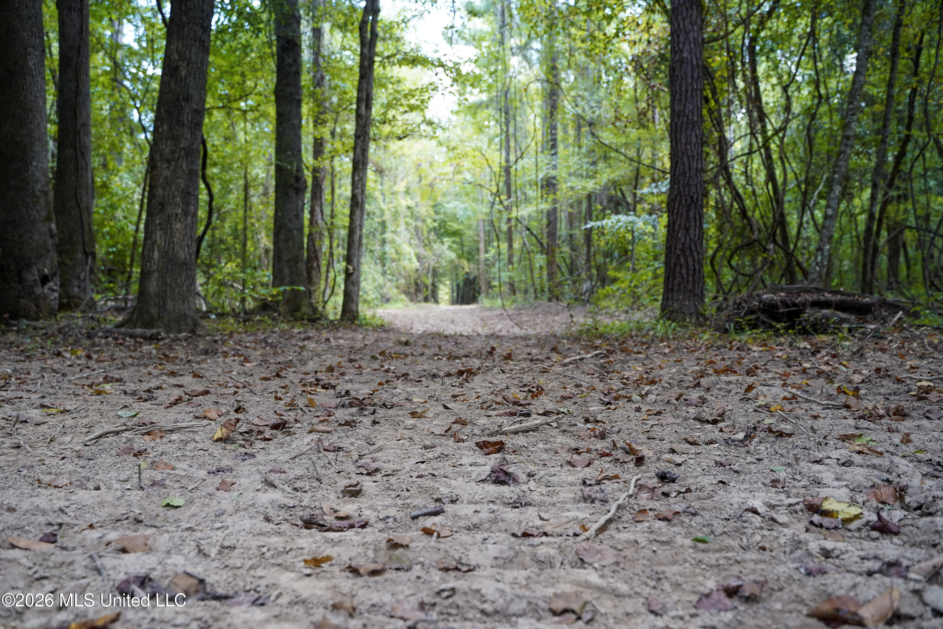 Johns Shiloh Road Property Photo 63