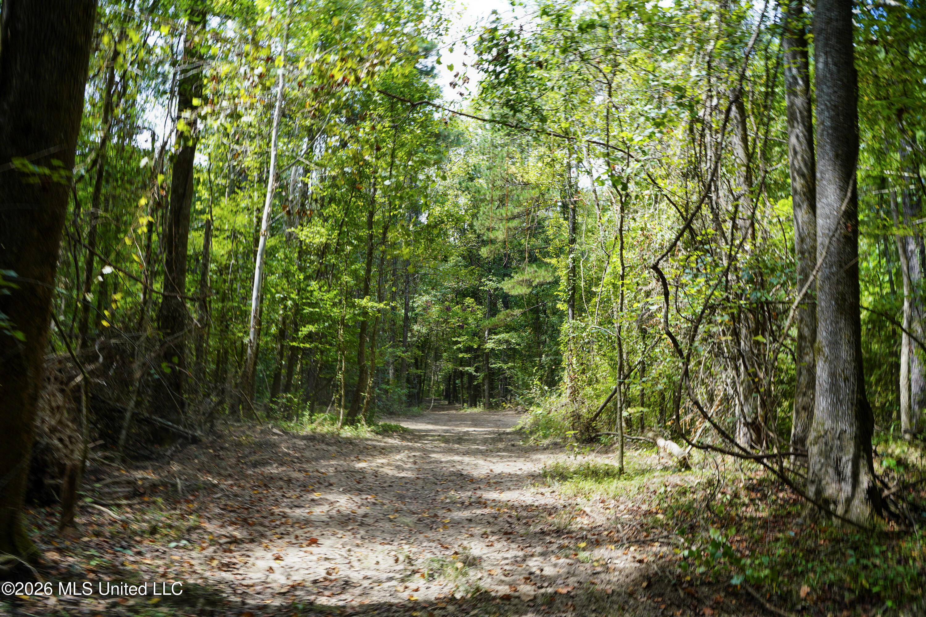 Johns Shiloh Road Property Photo 64