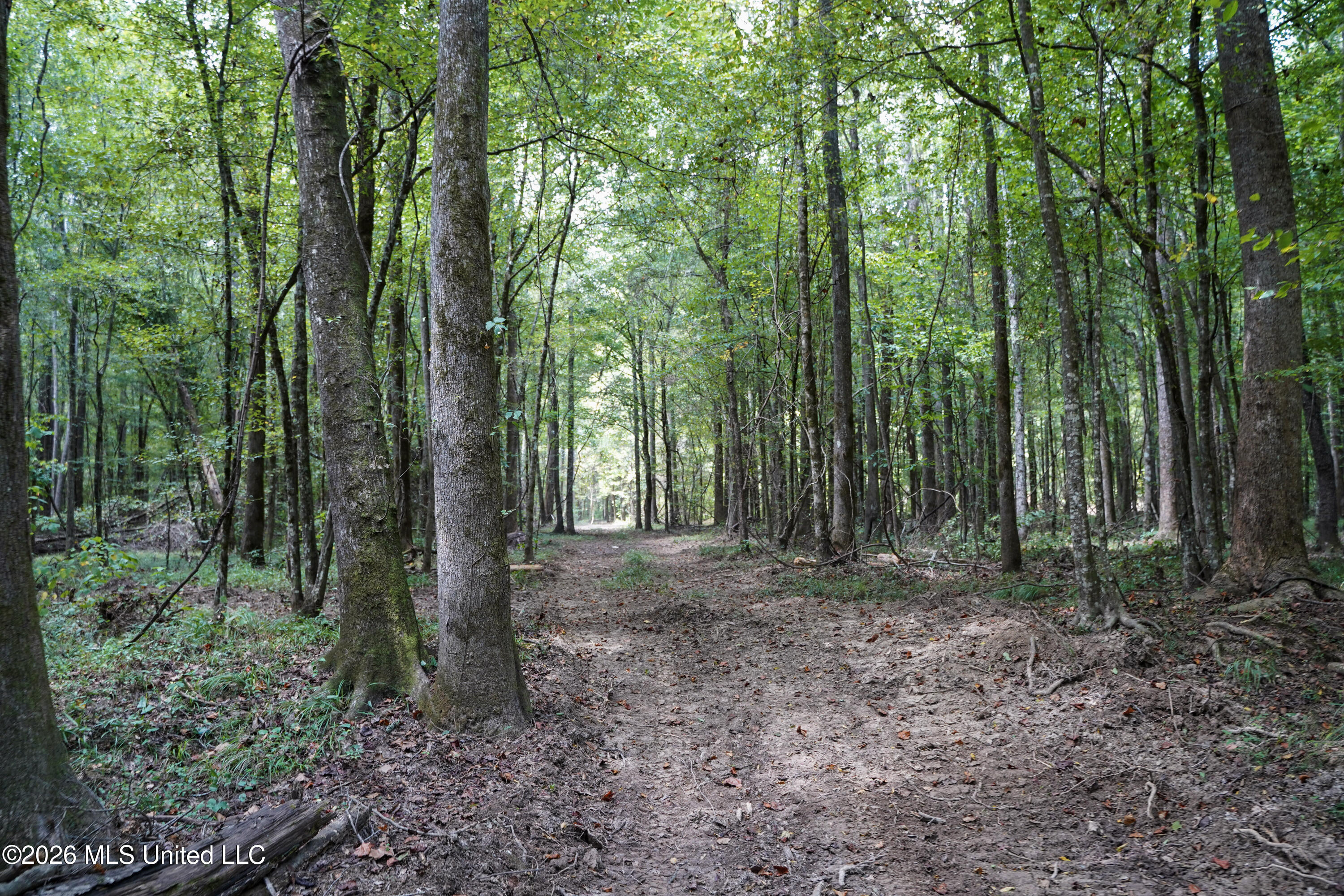 Johns Shiloh Road Property Photo 65