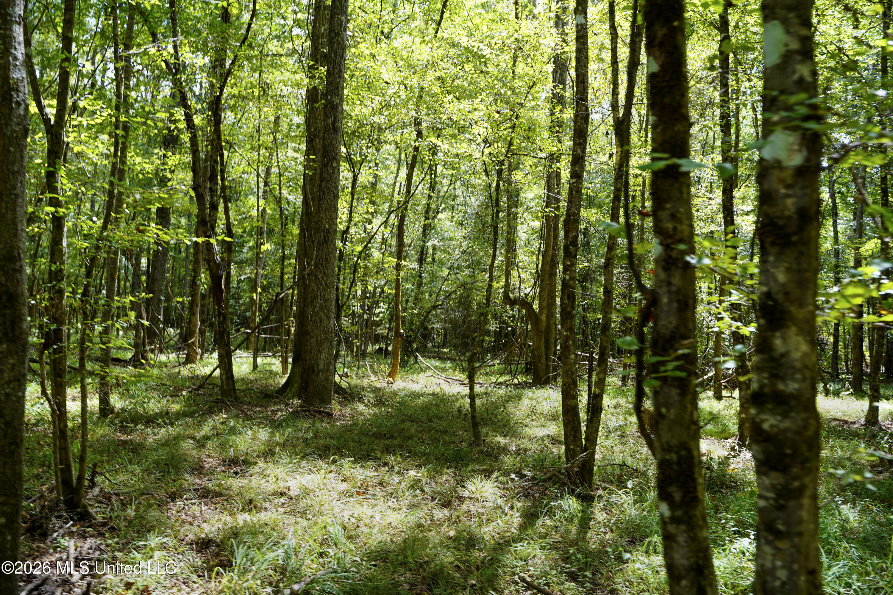 Johns Shiloh Road Property Photo 66