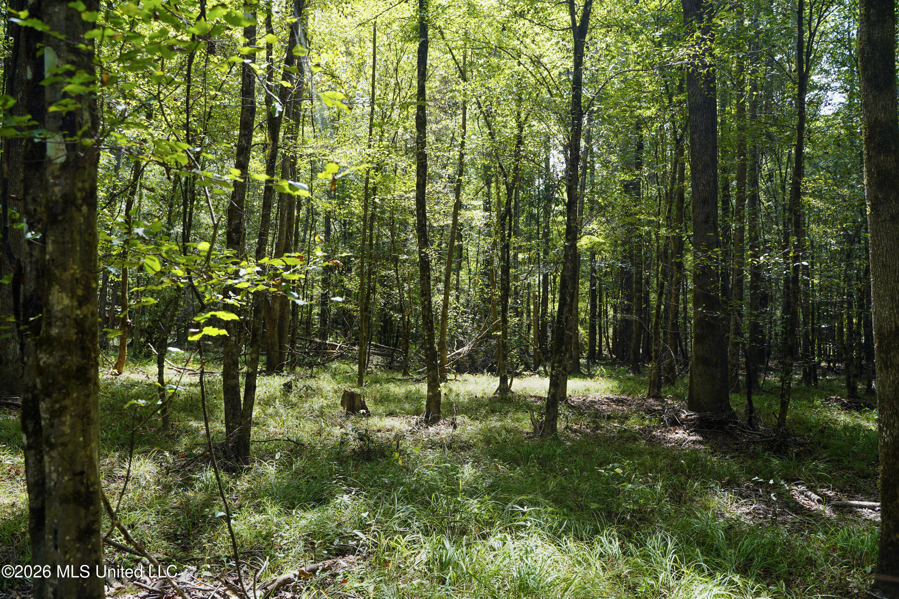 Johns Shiloh Road Property Photo 67
