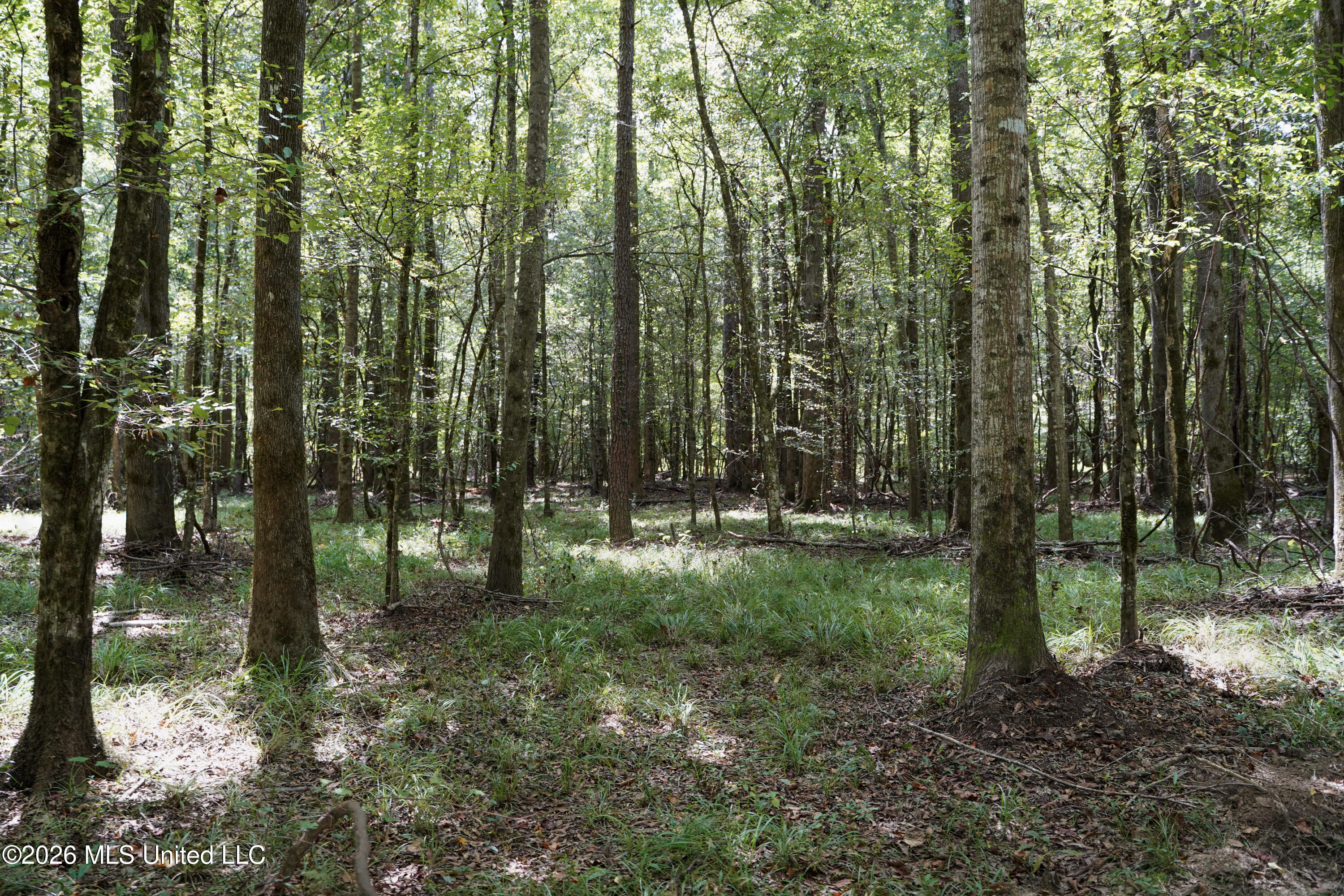 Johns Shiloh Road Property Photo 68