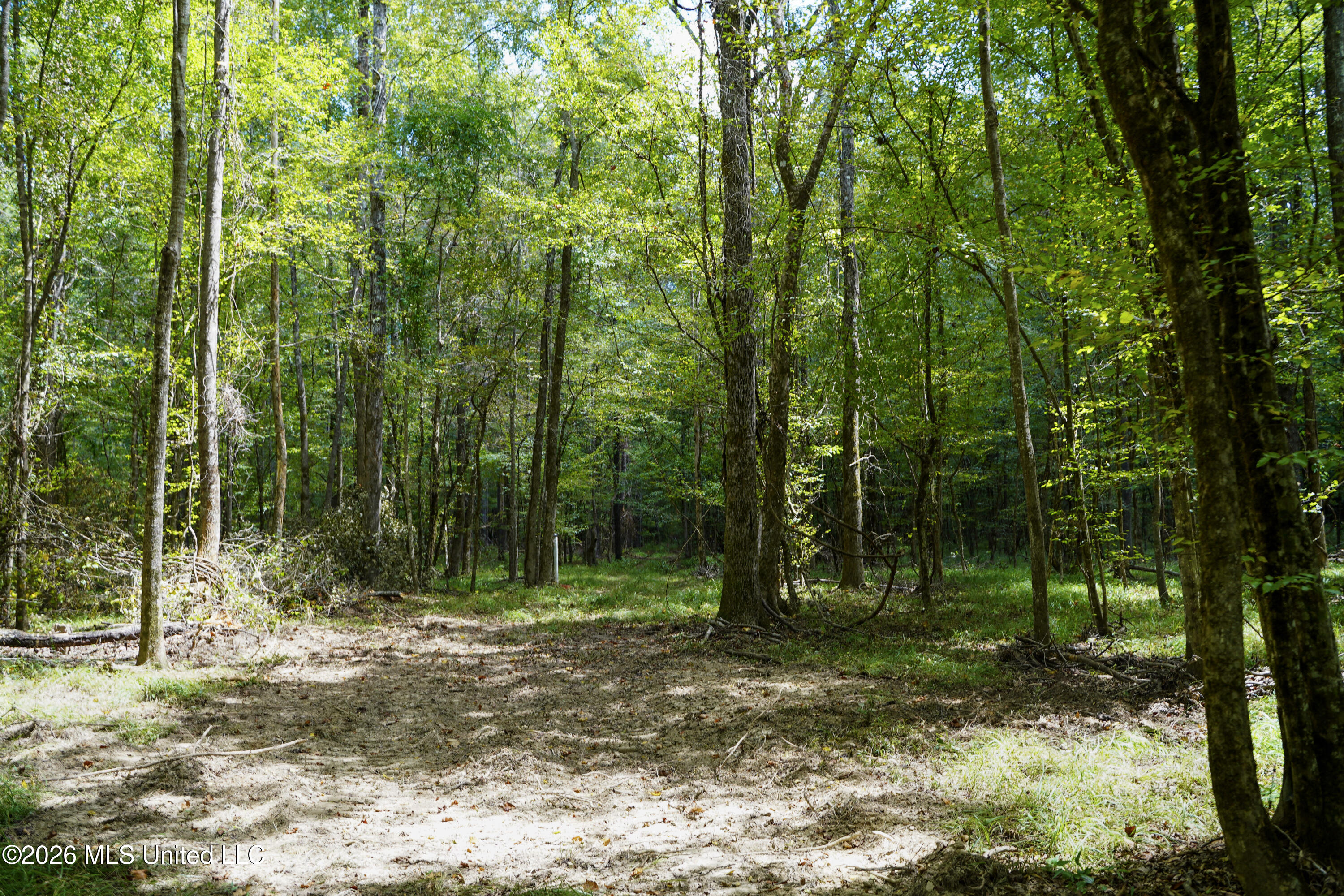 Johns Shiloh Road Property Photo 69