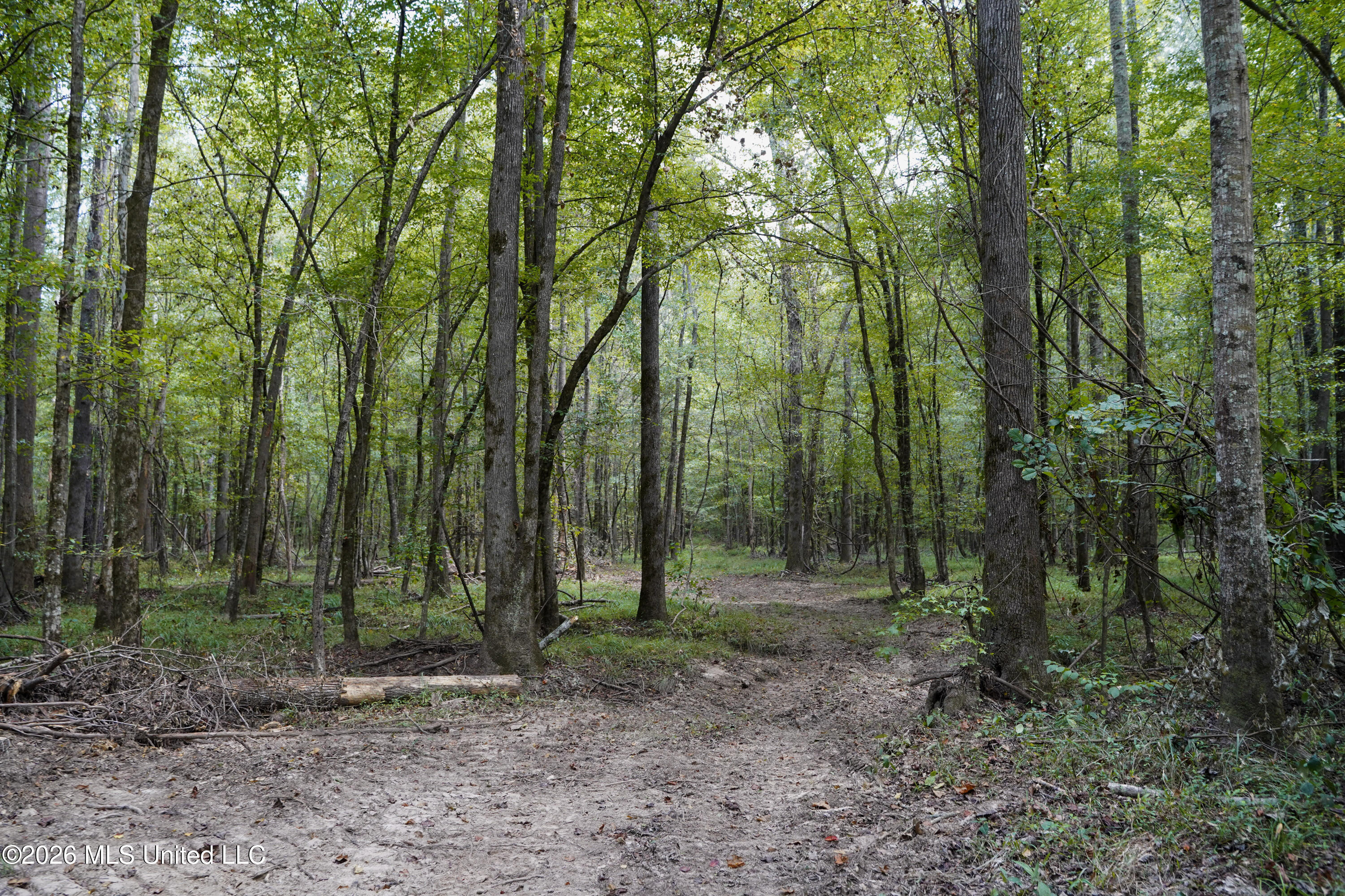 Johns Shiloh Road Property Photo 70