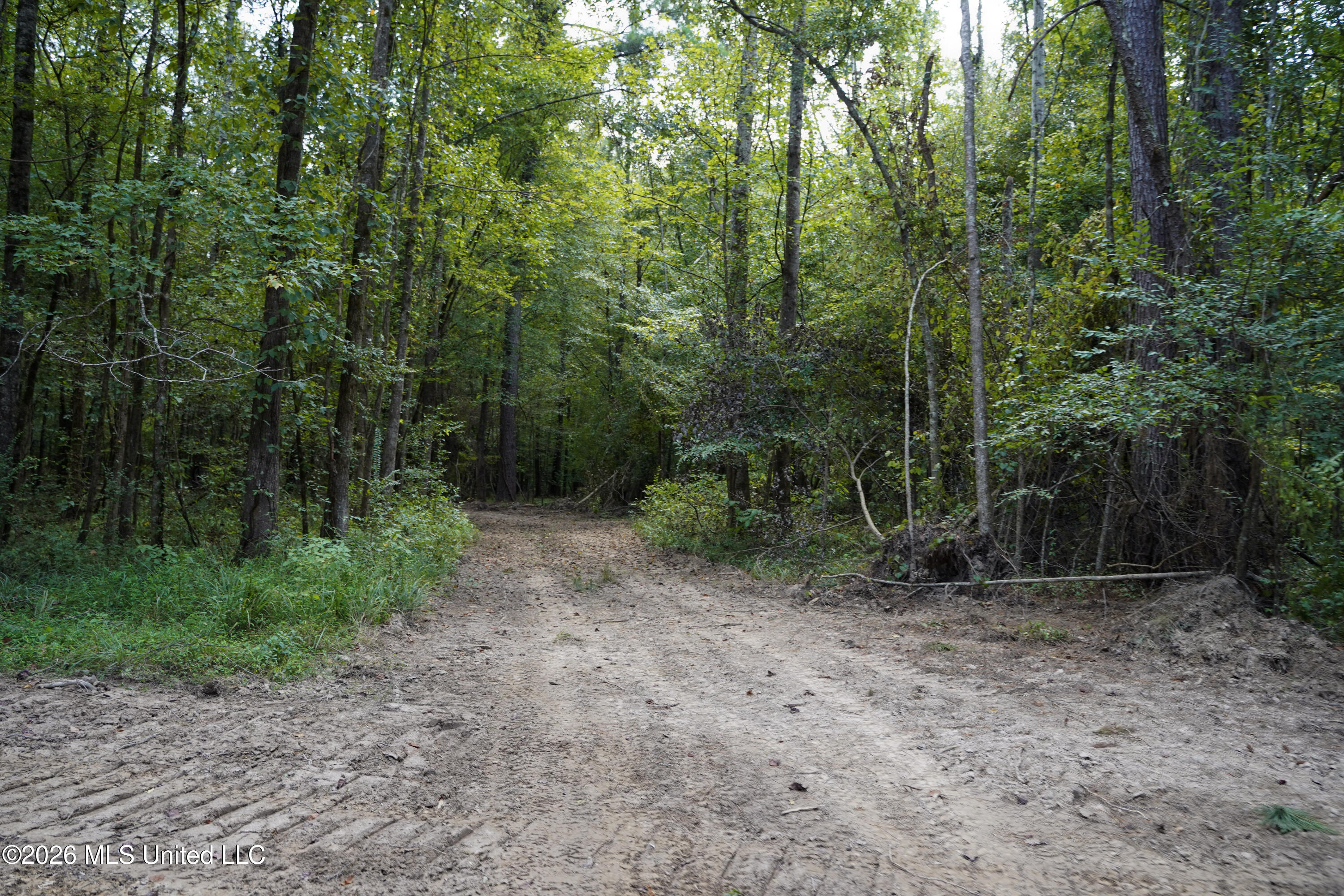 Johns Shiloh Road Property Photo 72