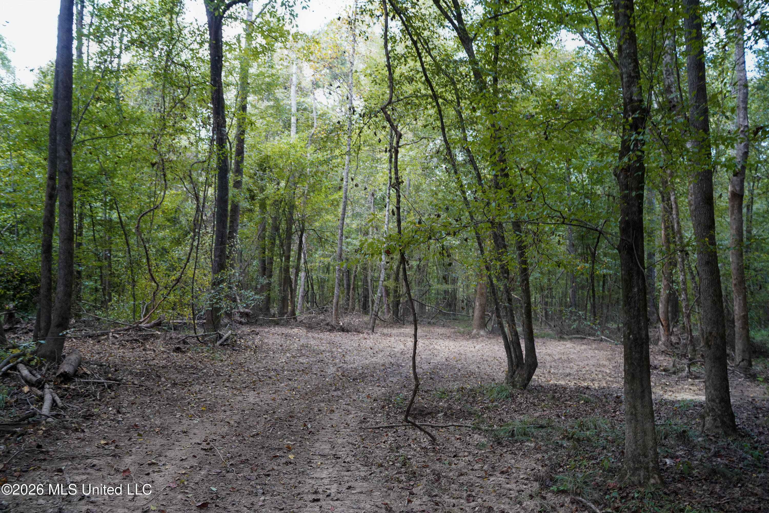 Johns Shiloh Road Property Photo 73
