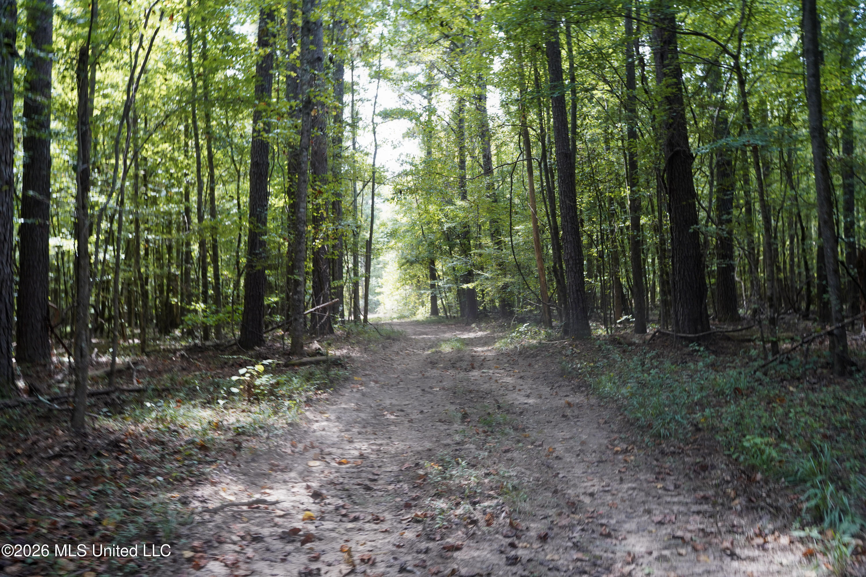 Johns Shiloh Road Property Photo 74