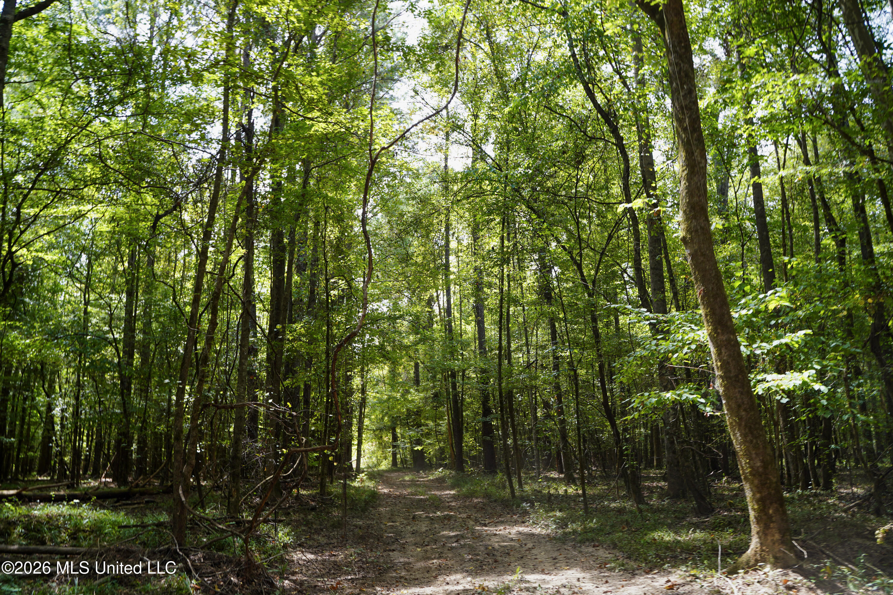Johns Shiloh Road Property Photo 76
