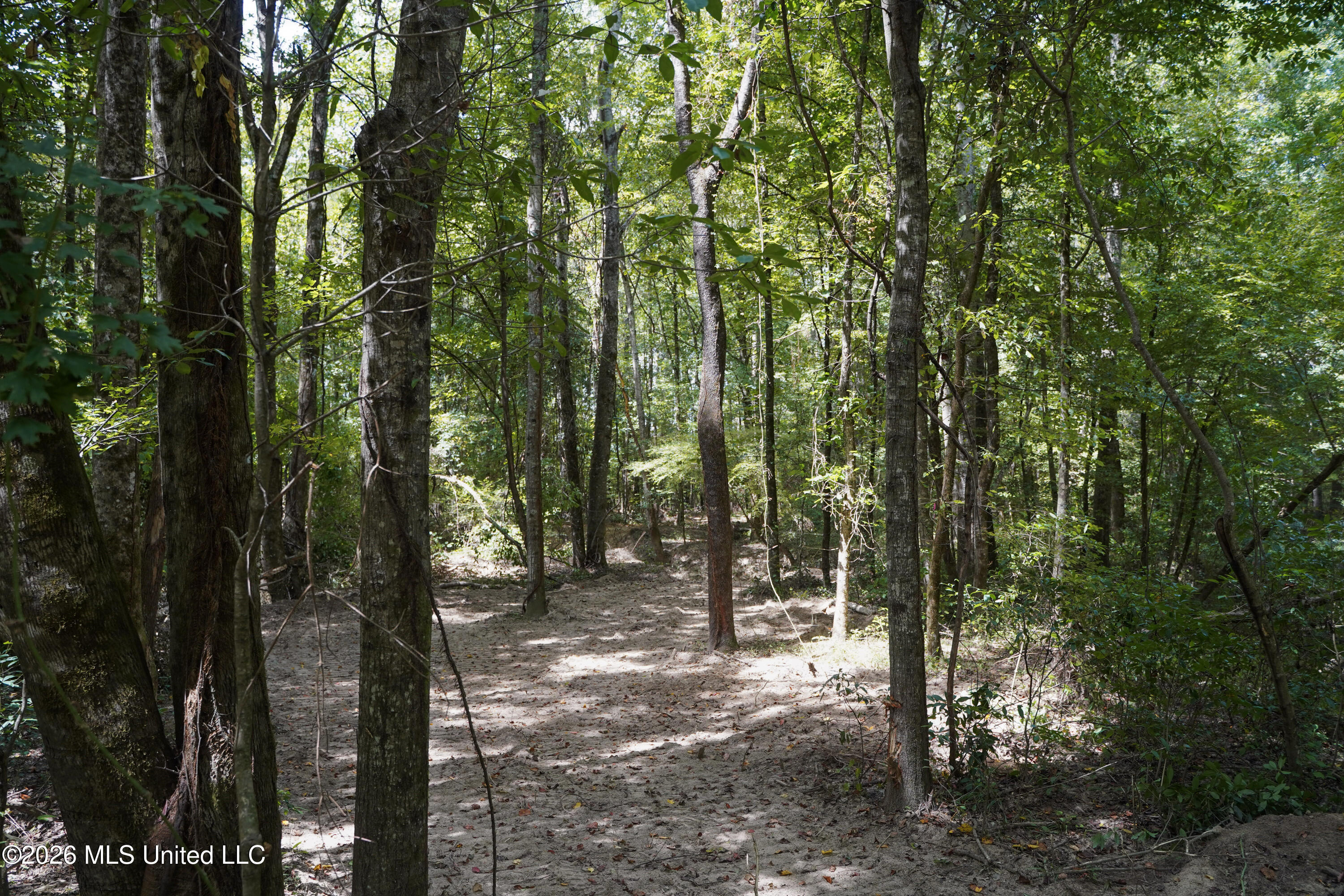 Johns Shiloh Road Property Photo 78