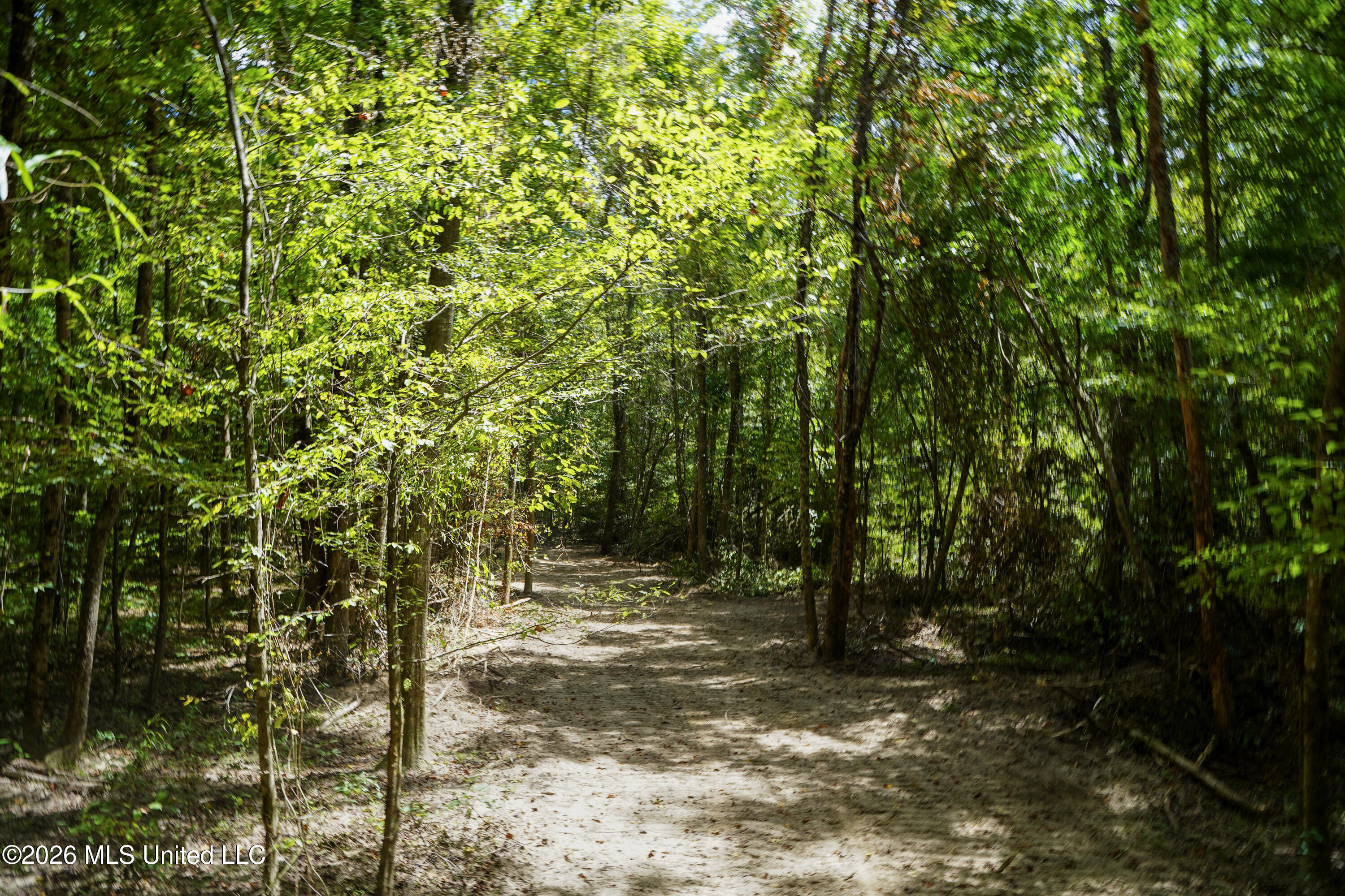 Johns Shiloh Road Property Photo 79