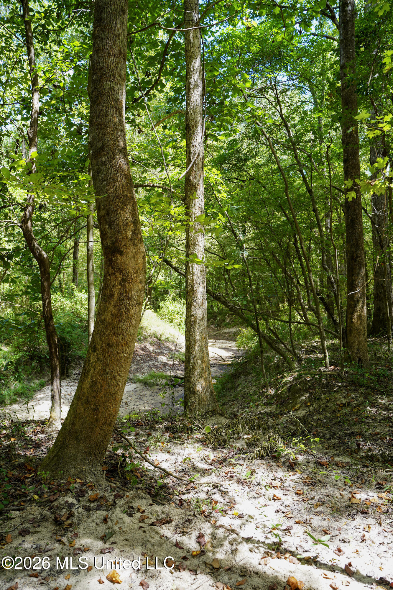 Johns Shiloh Road Property Photo 80