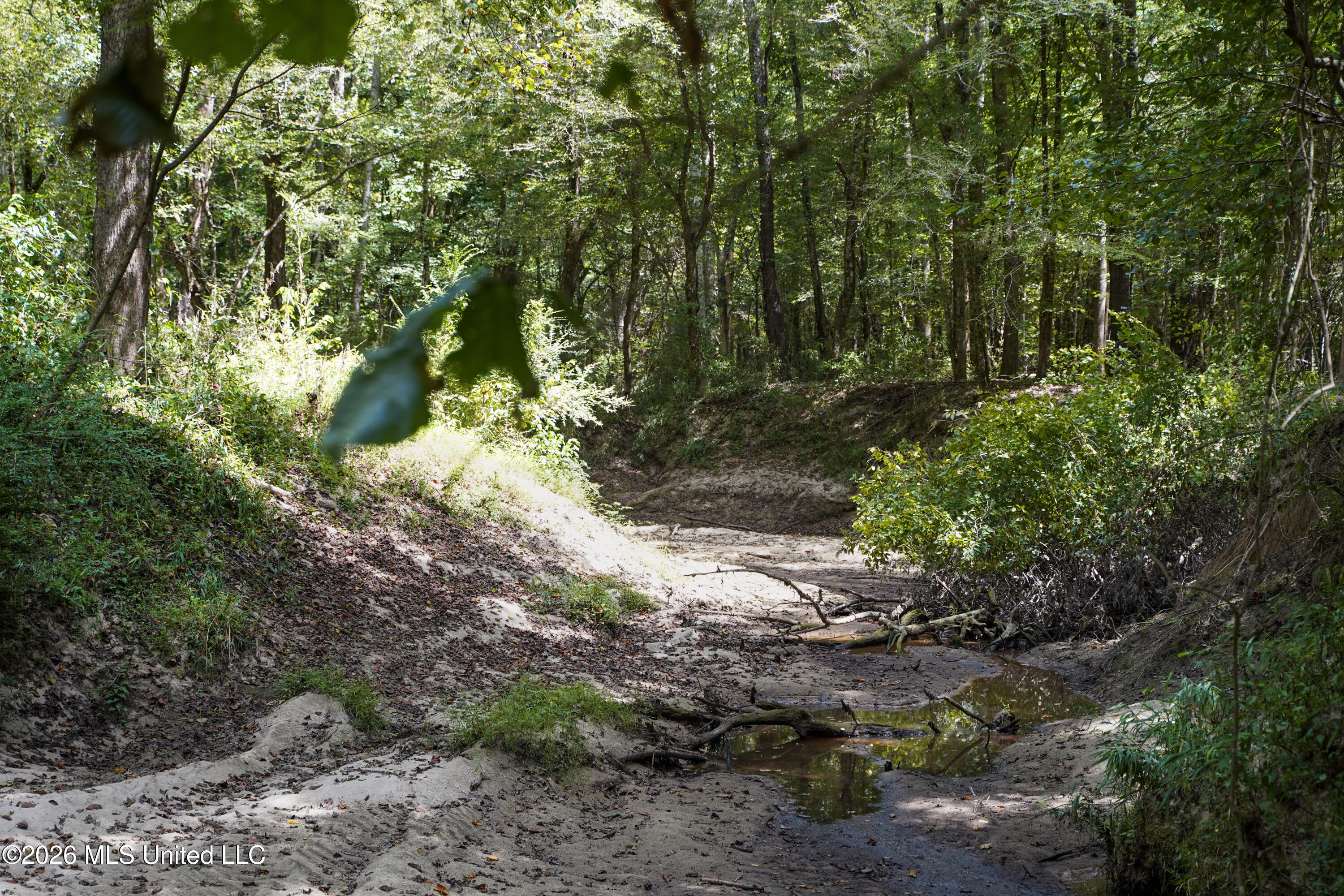 Johns Shiloh Road Property Photo 83