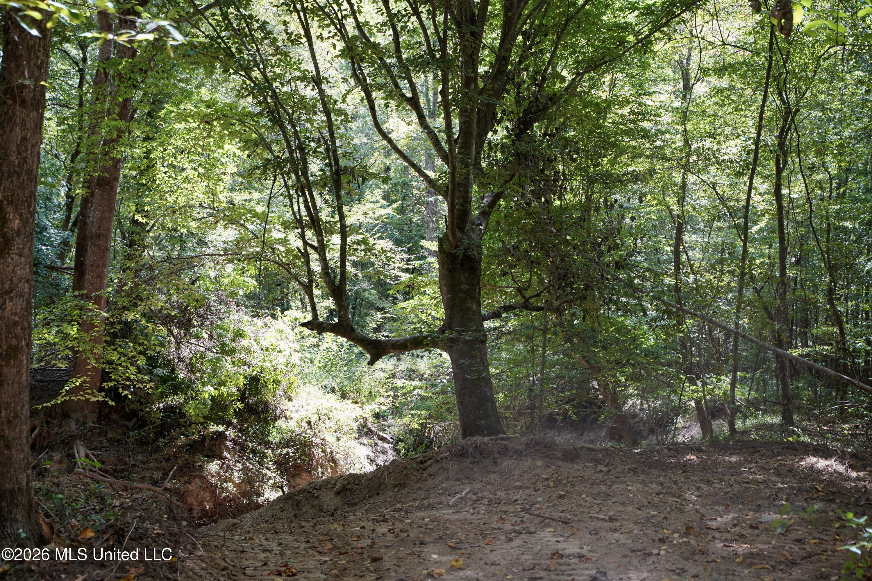 Johns Shiloh Road Property Photo 87