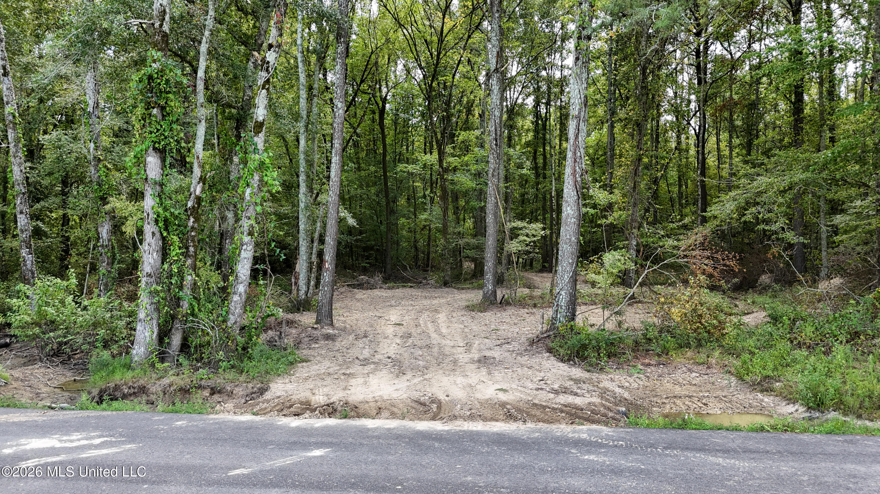 Johns Shiloh Road Property Photo 117