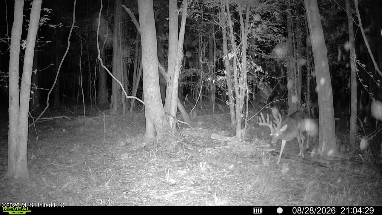 Johns Shiloh Road Property Photo 120