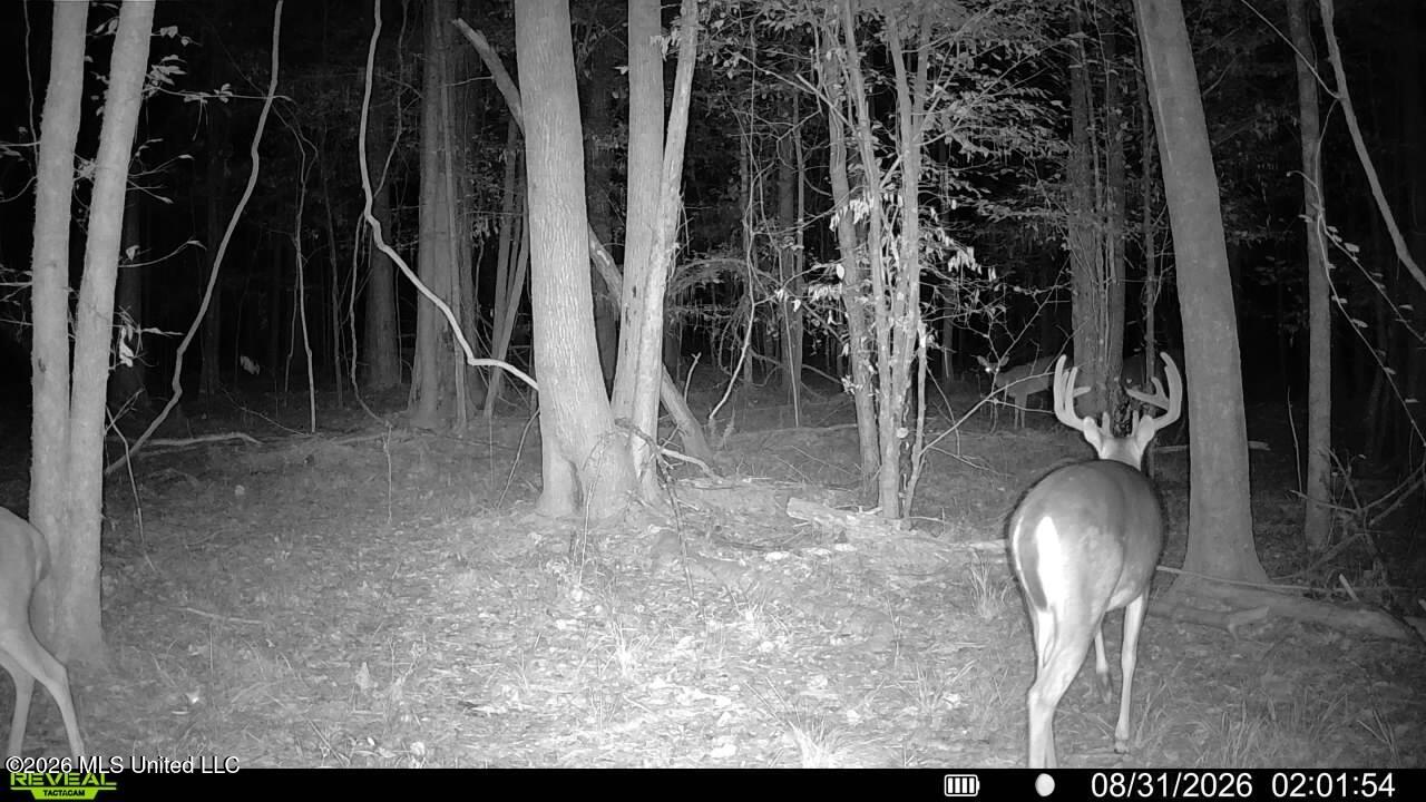 Johns Shiloh Road Property Photo 122