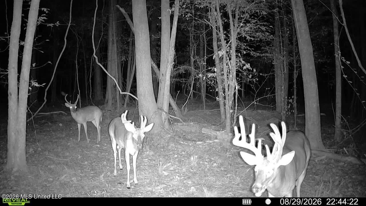Johns Shiloh Road Property Photo 123