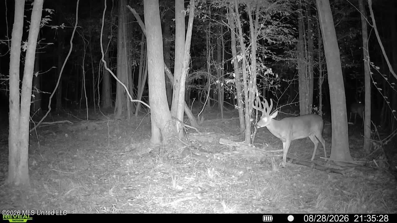 Johns Shiloh Road Property Photo 124