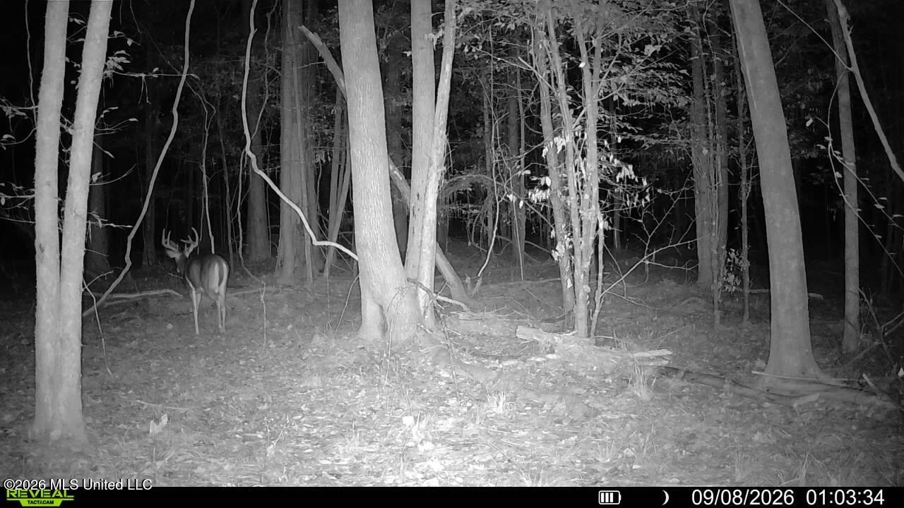 Johns Shiloh Road Property Photo 127