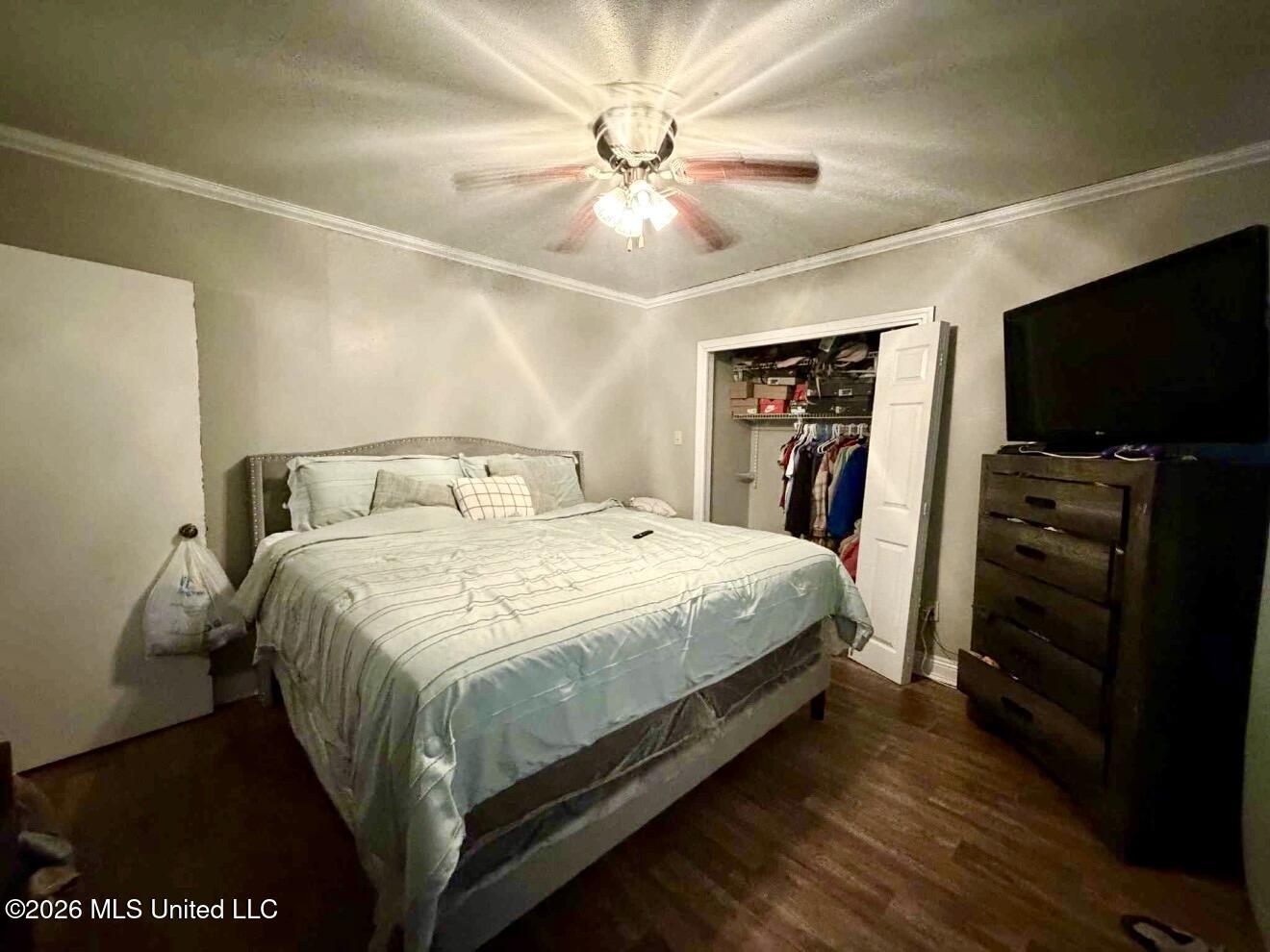 305 Albert Street Property Photo 9