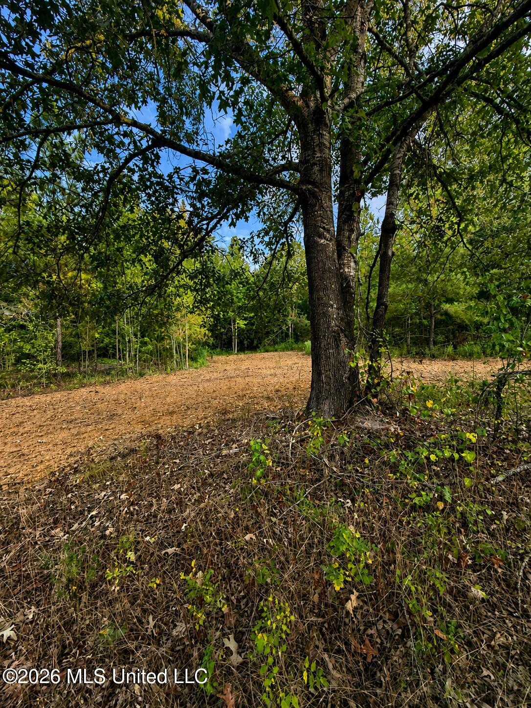 4827 Newport Property Photo 10