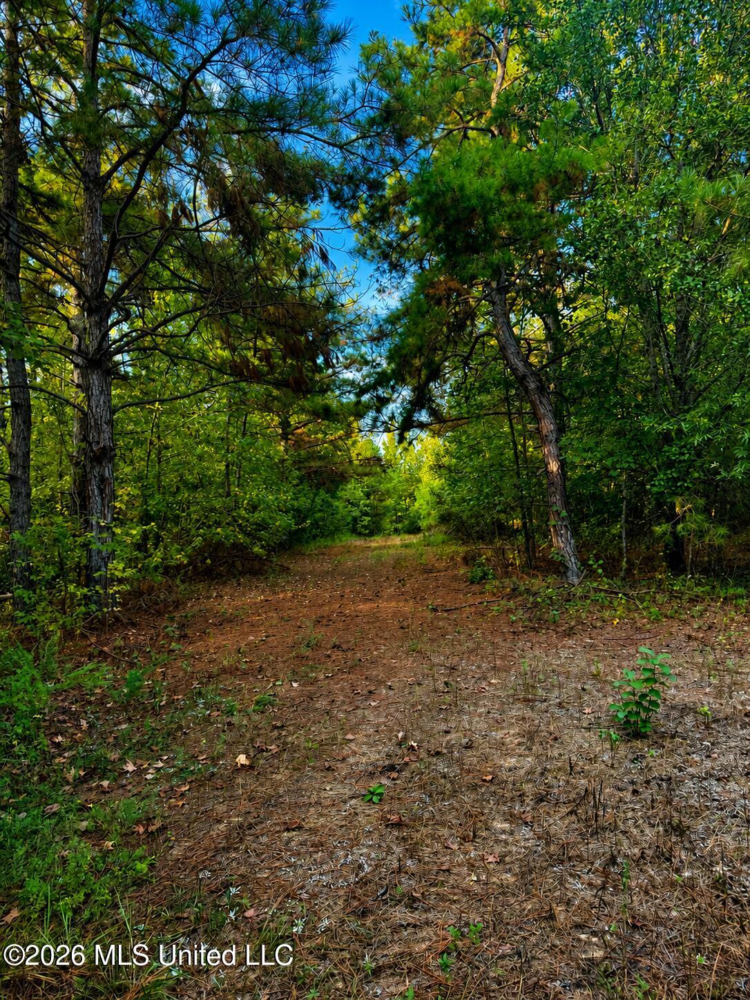 4827 Newport Property Photo 11