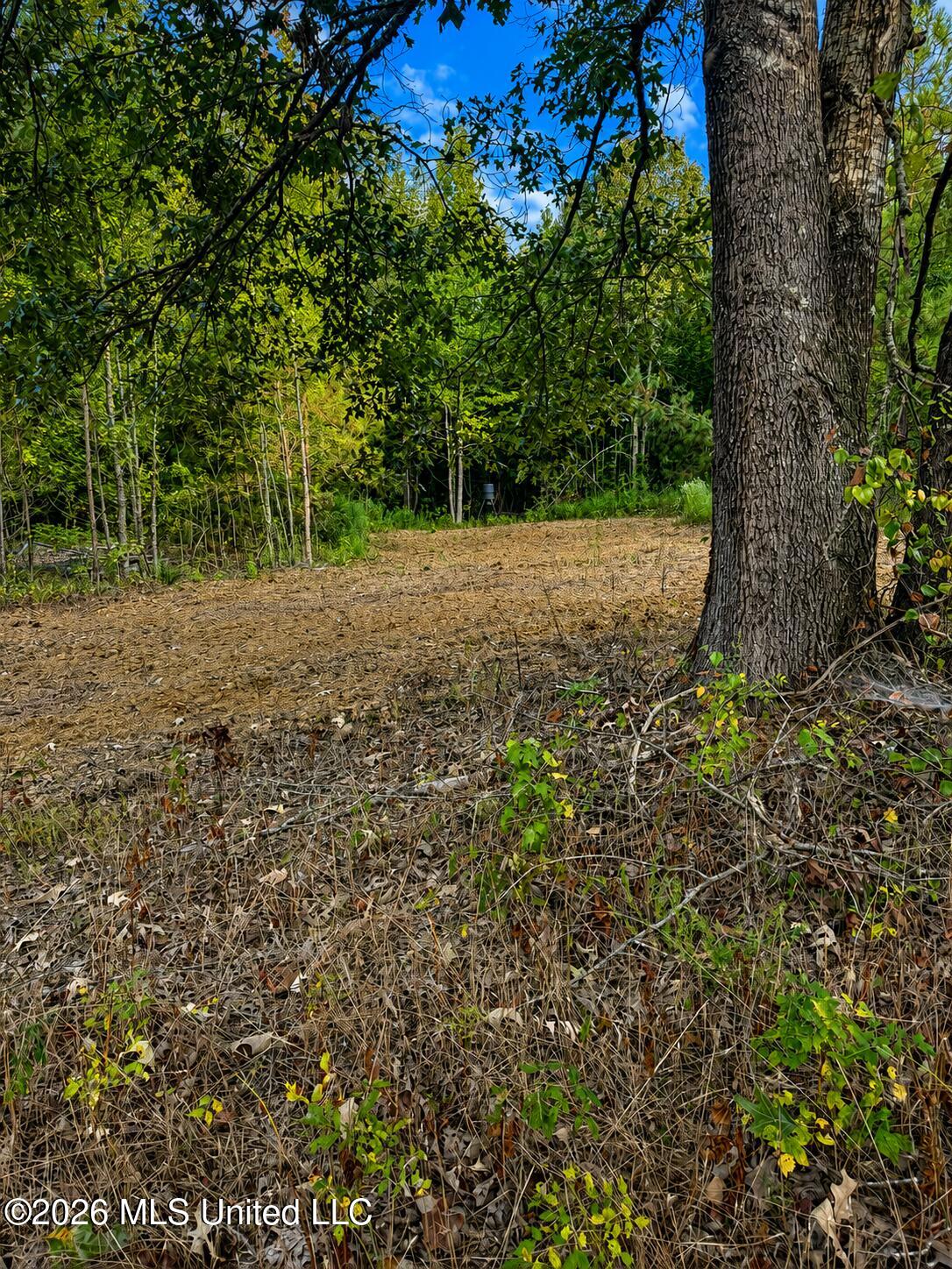 4827 Newport Property Photo 13
