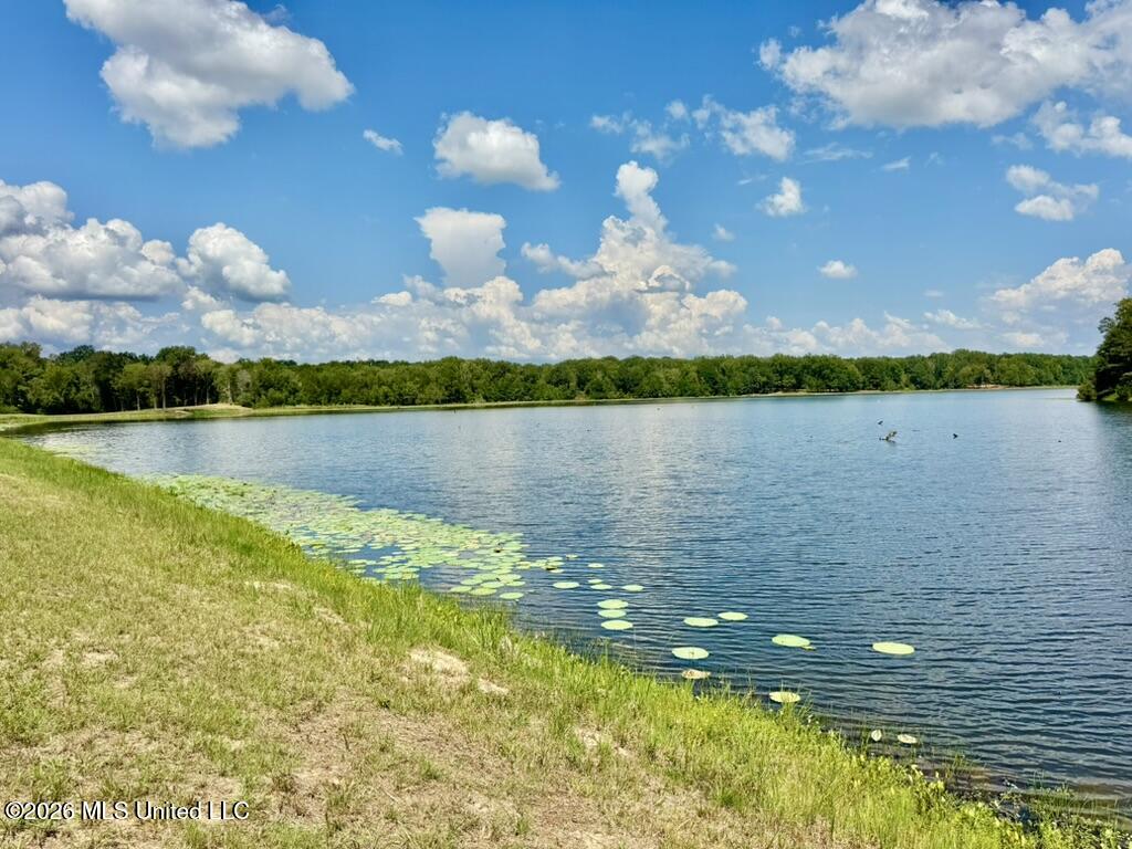00114 Pocahontas Road Property Photo 1