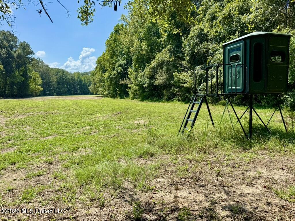 00114 Pocahontas Road Property Photo 5