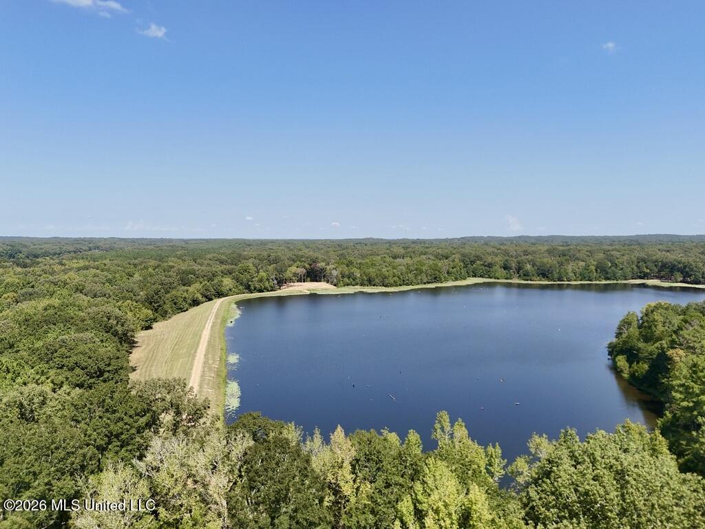 00114 Pocahontas Road Property Photo 6