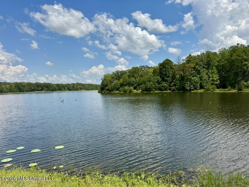 00114 Pocahontas Road Property Photo 7