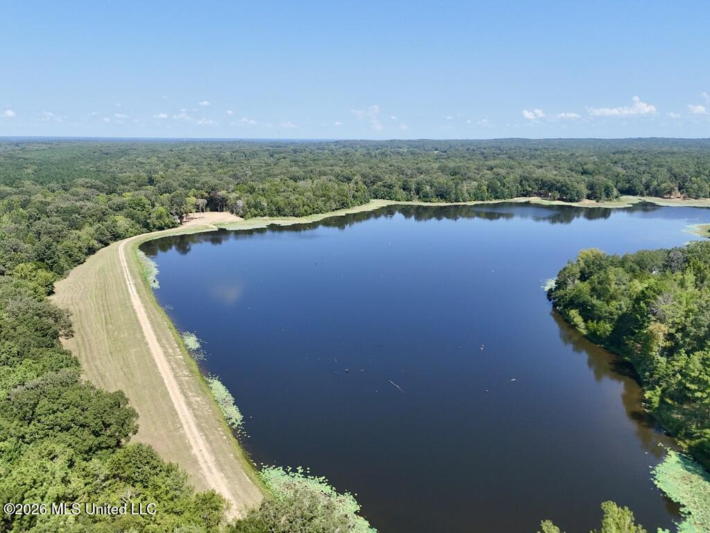 00114 Pocahontas Road Property Photo 8