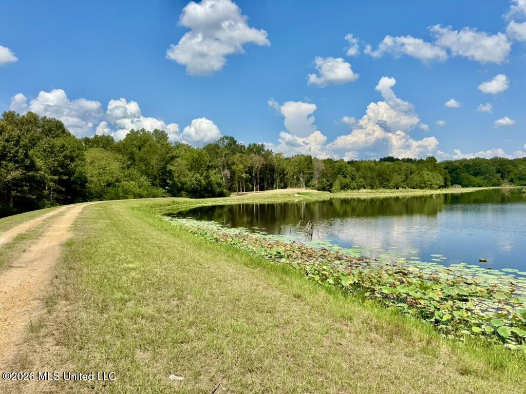 00114 Pocahontas Road Property Photo 9